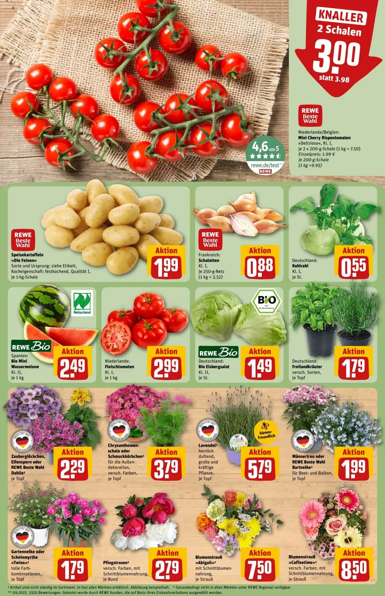 REWE Center Prospekt (ab 01.06.2026) zum Blättern - Seite 5