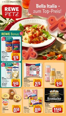REWE PETZ Prospekt (ab 01.06.2026) zum Blättern