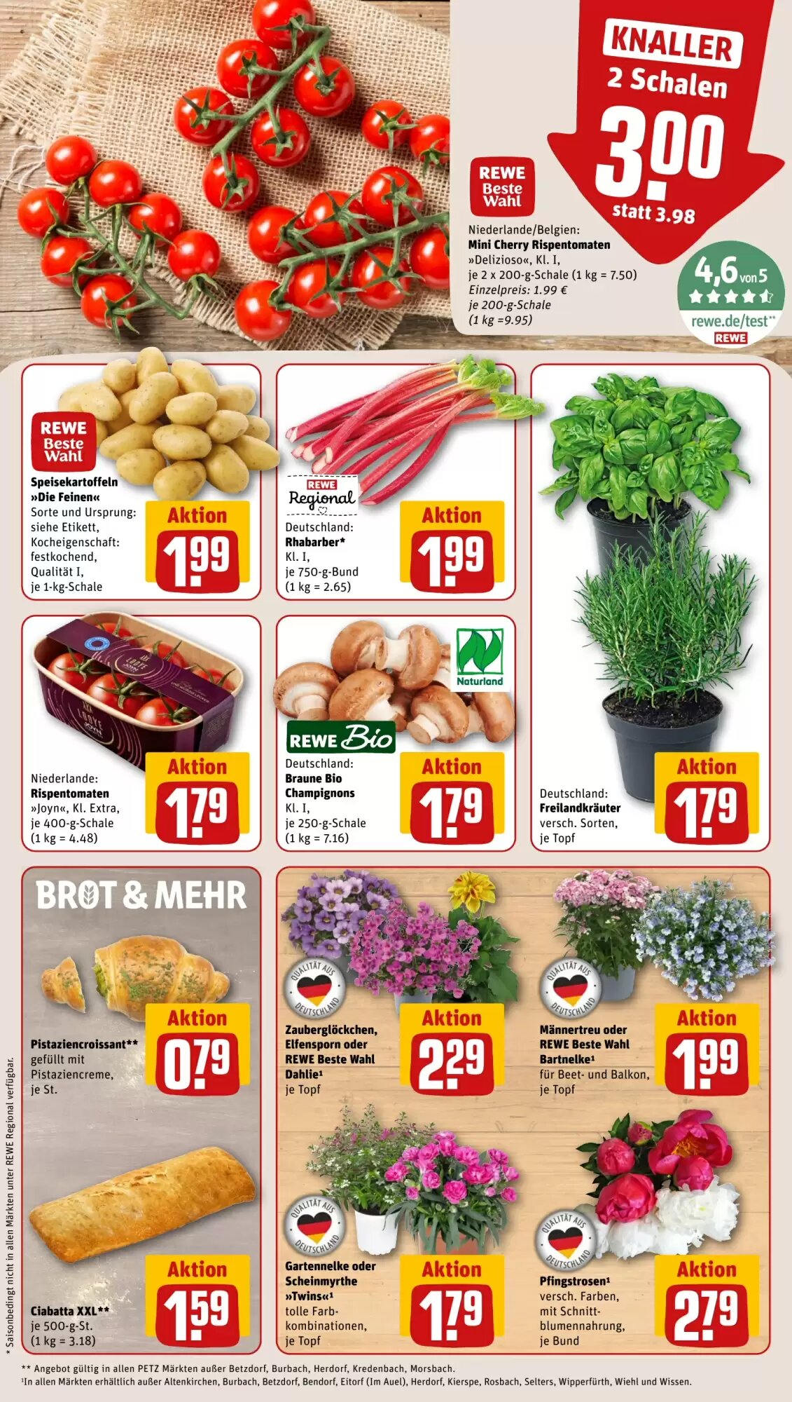 REWE PETZ Prospekt (ab 01.06.2026) zum Blättern - Seite 5