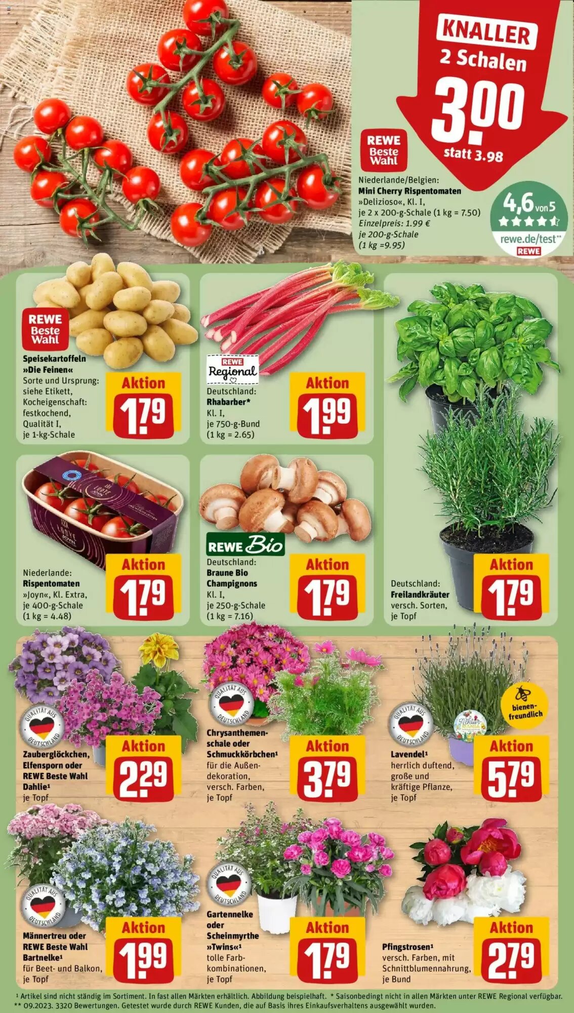 REWE Kaufpark Prospekt (ab 01.06.2026) zum Blättern - Seite 5