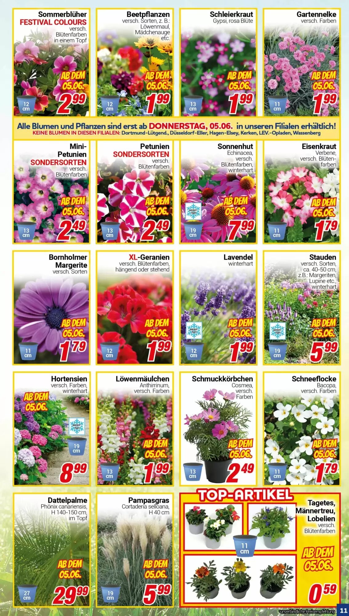 CENTERSHOP Prospekt (ab 02.06.2026) zum Blättern - Seite 11