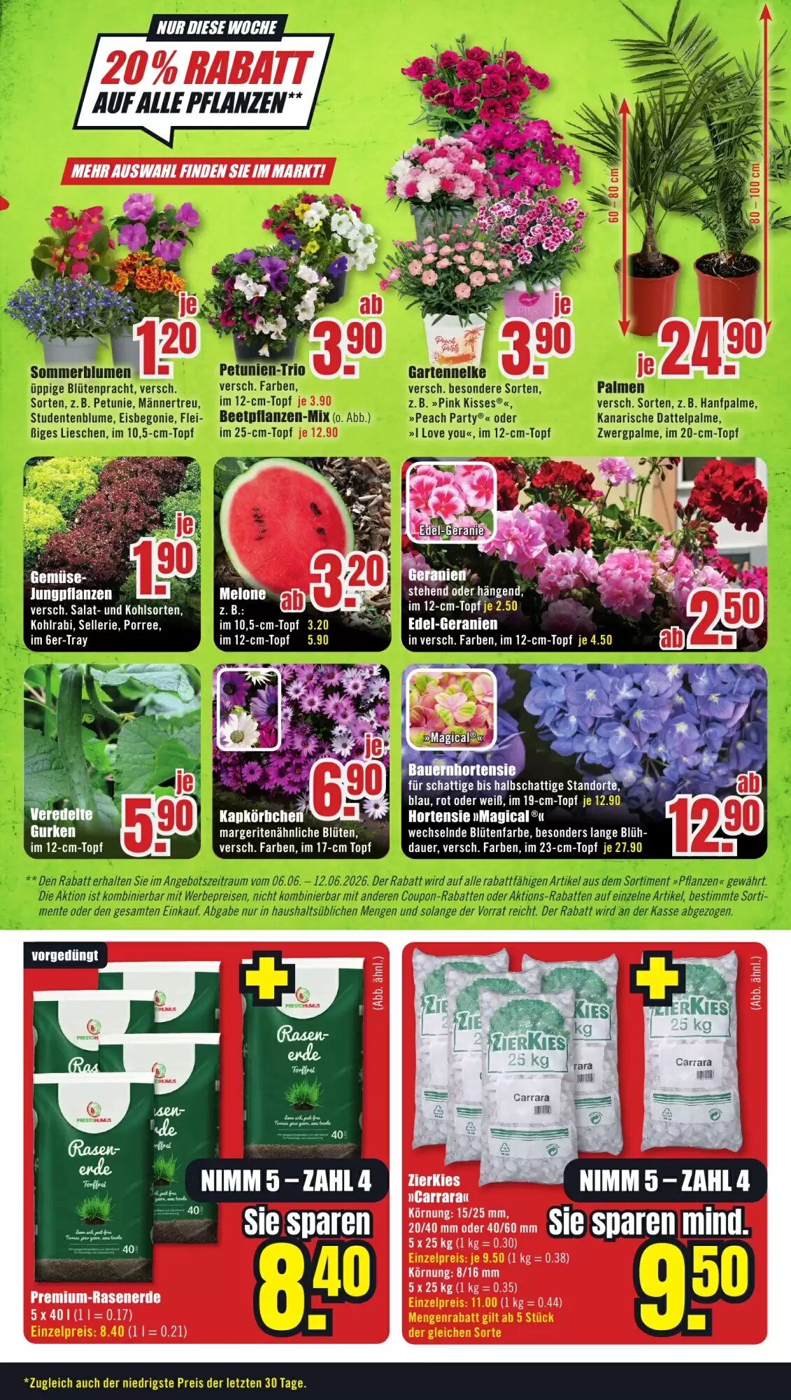 B1 Discount Baumarkt Prospekt (ab 06.06.2026) zum Blättern - Seite 5