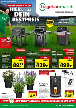 Hagebau Prospekt (ab 06.06.2026) zum Blättern