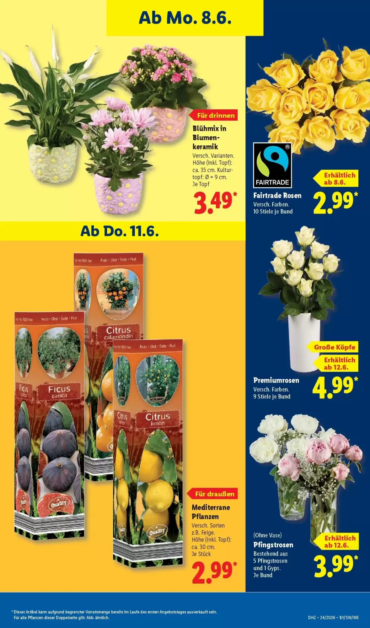 Lidl Prospekt (ab 07.06.2026) zum Blättern - Seite 69