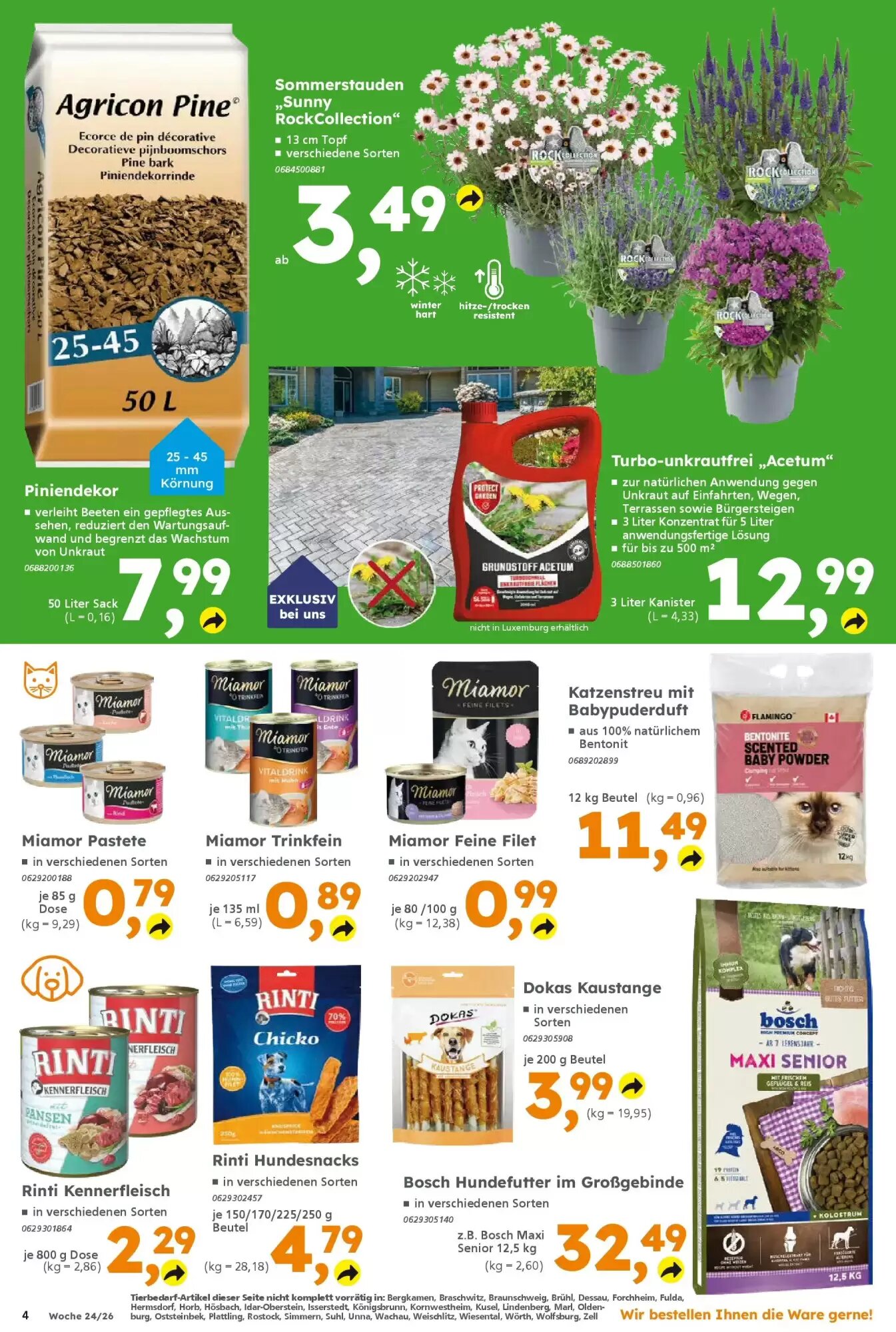 Globus Baumarkt Prospekt (ab 07.06.2026) zum Blättern - Seite 4