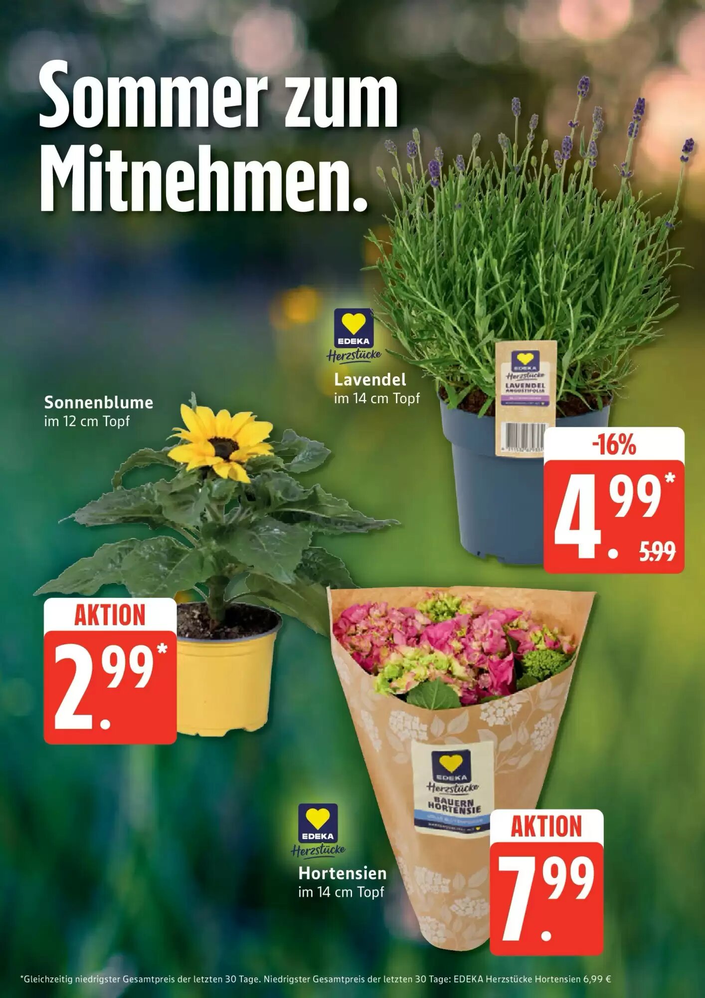 Edeka Prospekt (ab 07.06.2026) zum Blättern - Seite 9