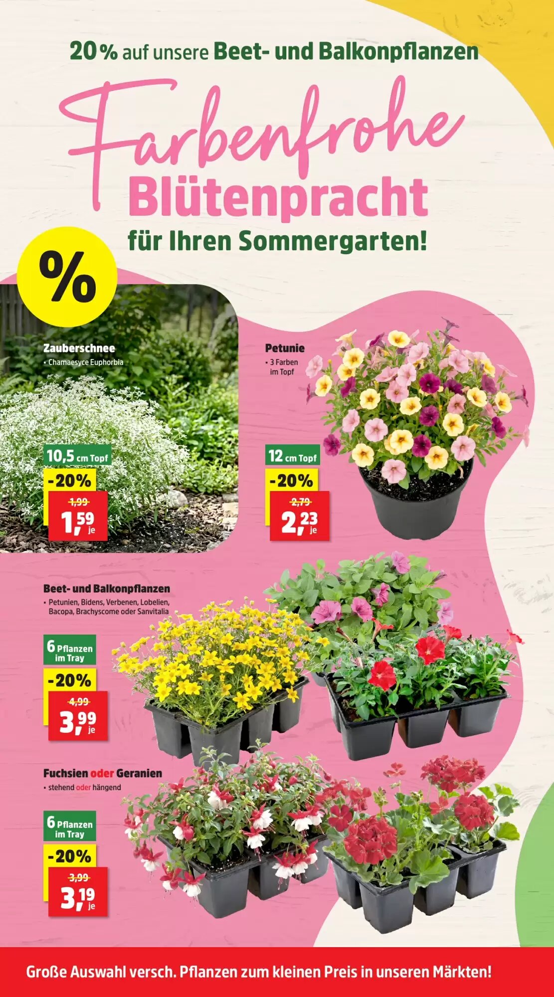 Thomas Philipps Prospekt (ab 08.06.2026) zum Blättern - Seite 6