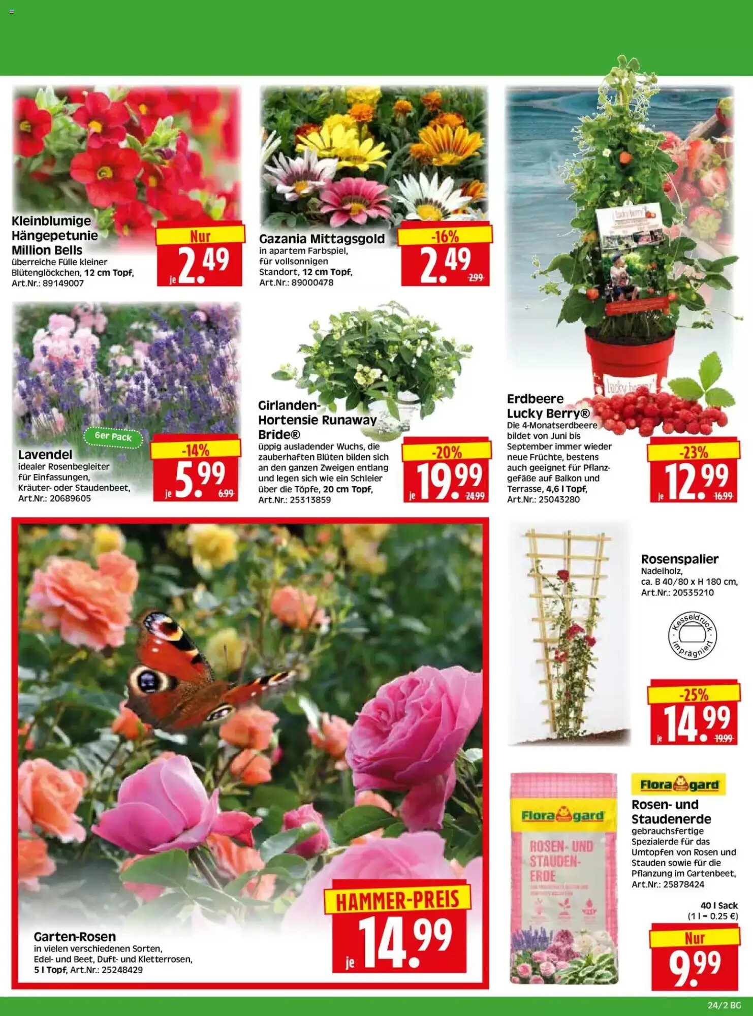Herkules Baumarkt Prospekt (ab 08.06.2026) zum Blättern - Seite 2