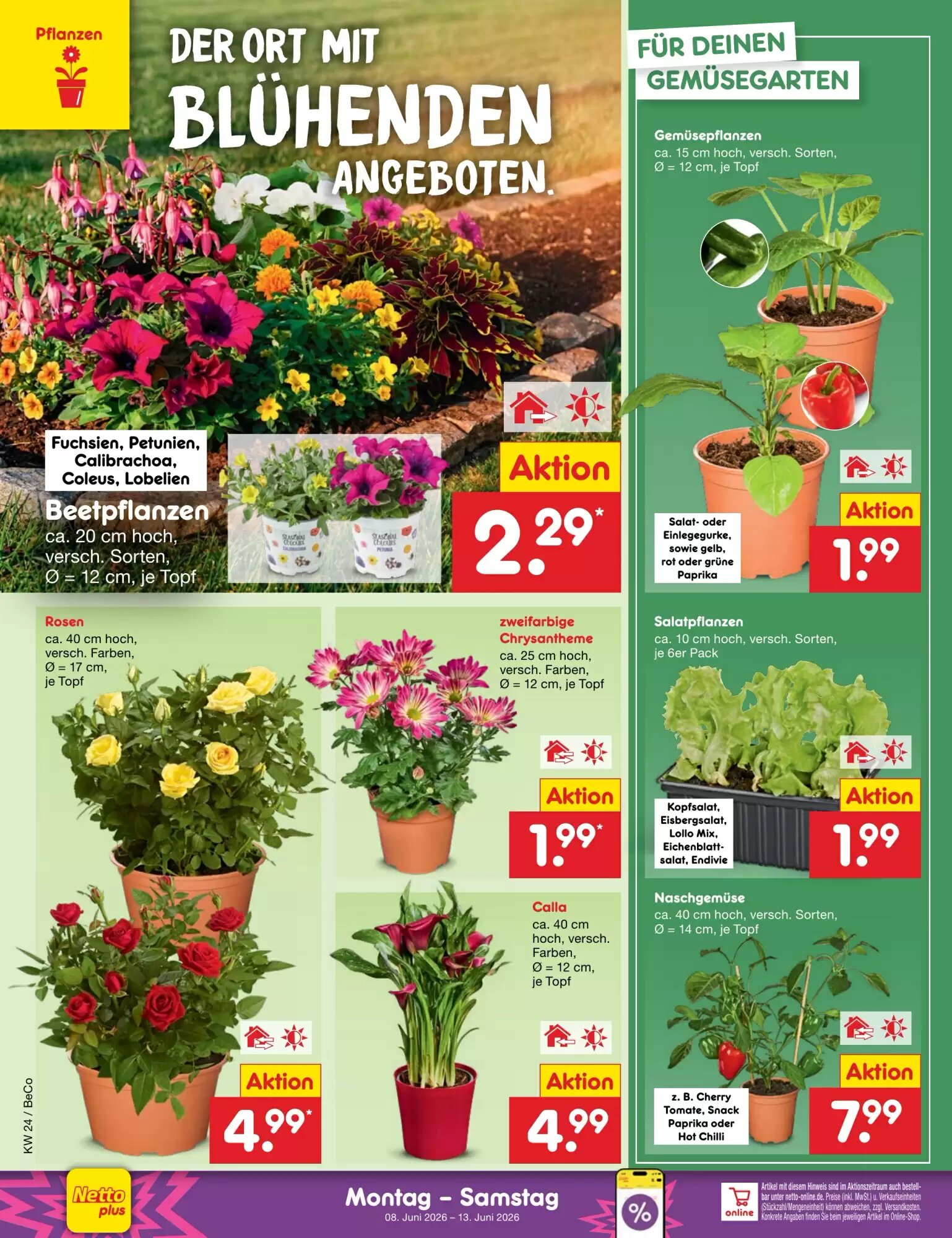 Netto Marken-Discount Prospekt (ab 08.06.2026) zum Blättern - Seite 16