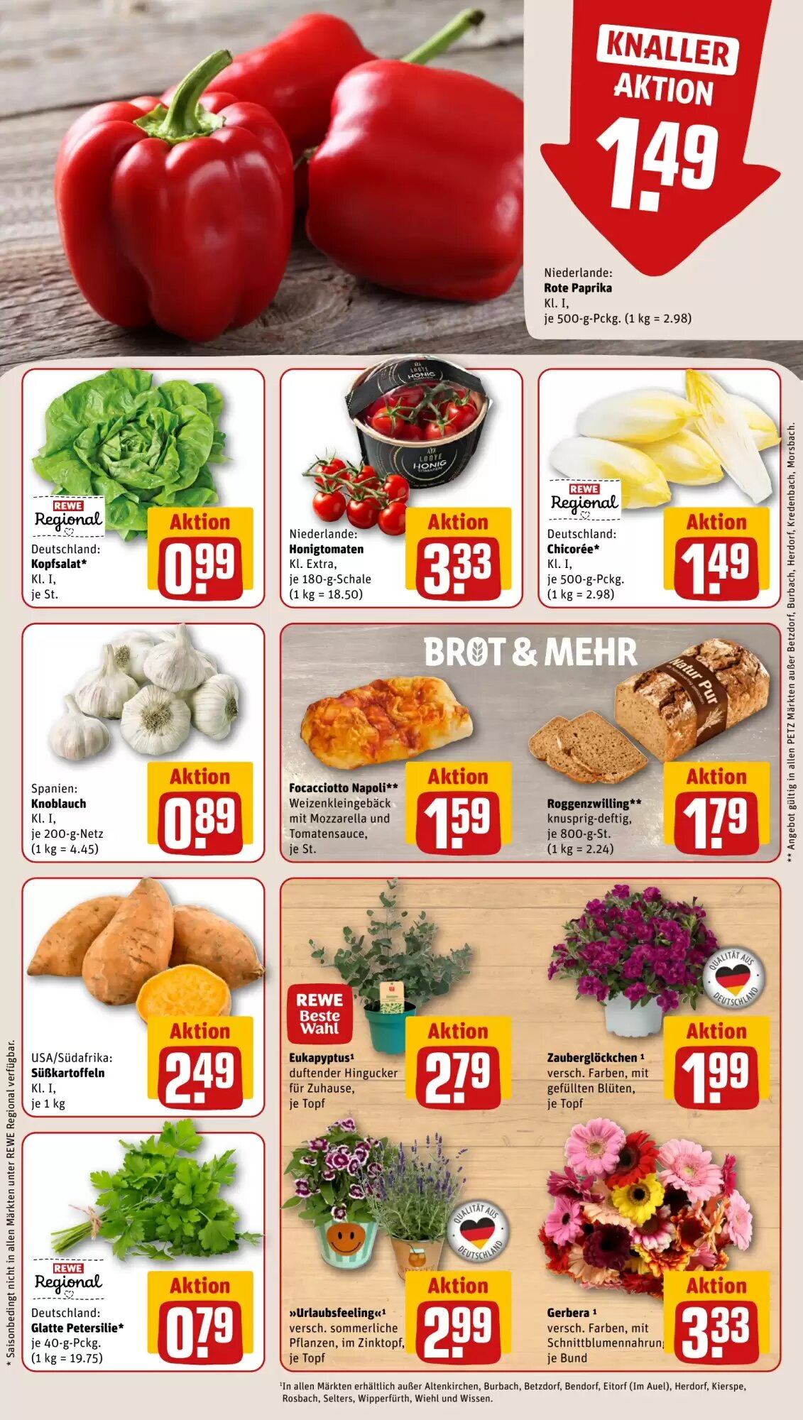 REWE PETZ Prospekt (ab 08.06.2026) zum Blättern - Seite 9