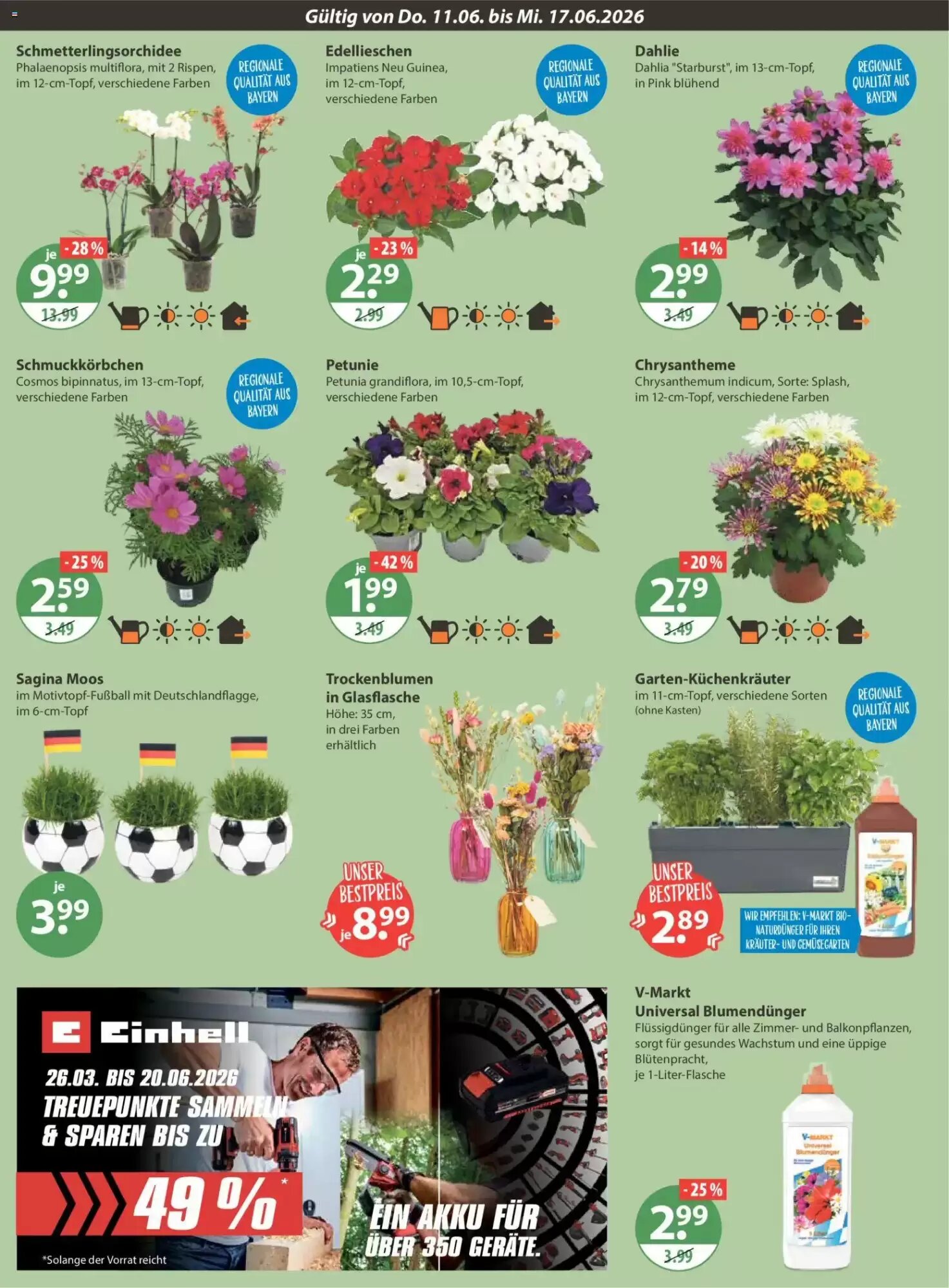 V Markt Prospekt (ab 11.06.2026) zum Blättern - Seite 16