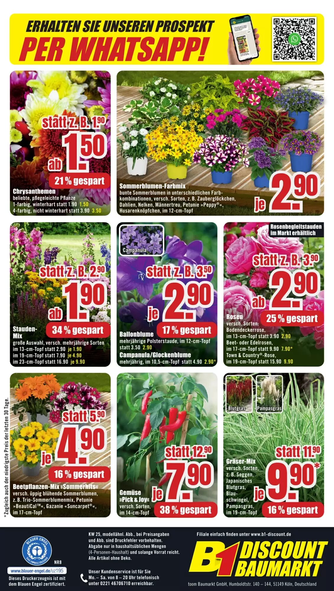 B1 Discount Baumarkt Prospekt (ab 13.06.2026) zum Blättern - Seite 8