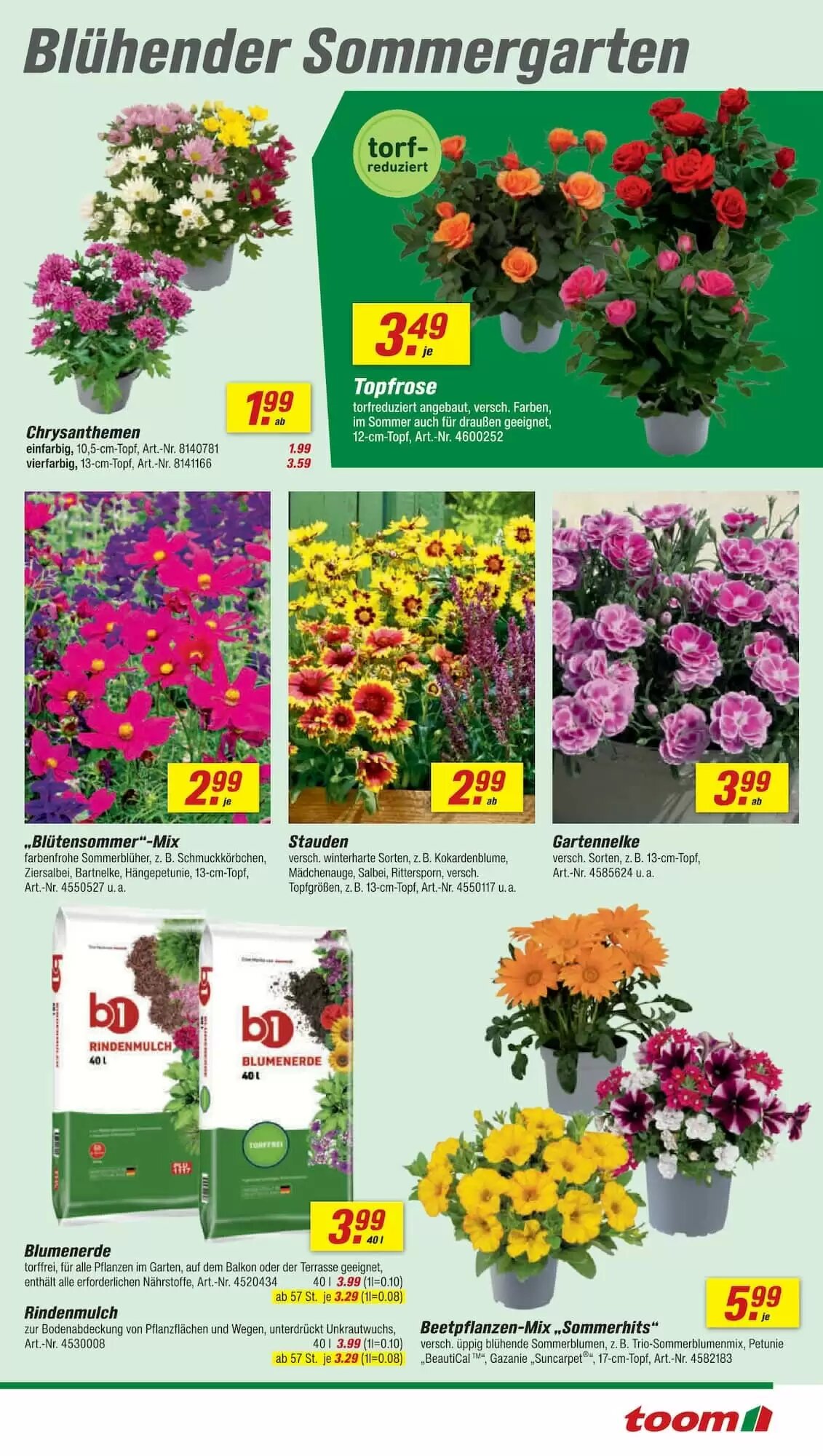 toom Baumarkt Prospekt (ab 13.06.2026) zum Blättern - Seite 5
