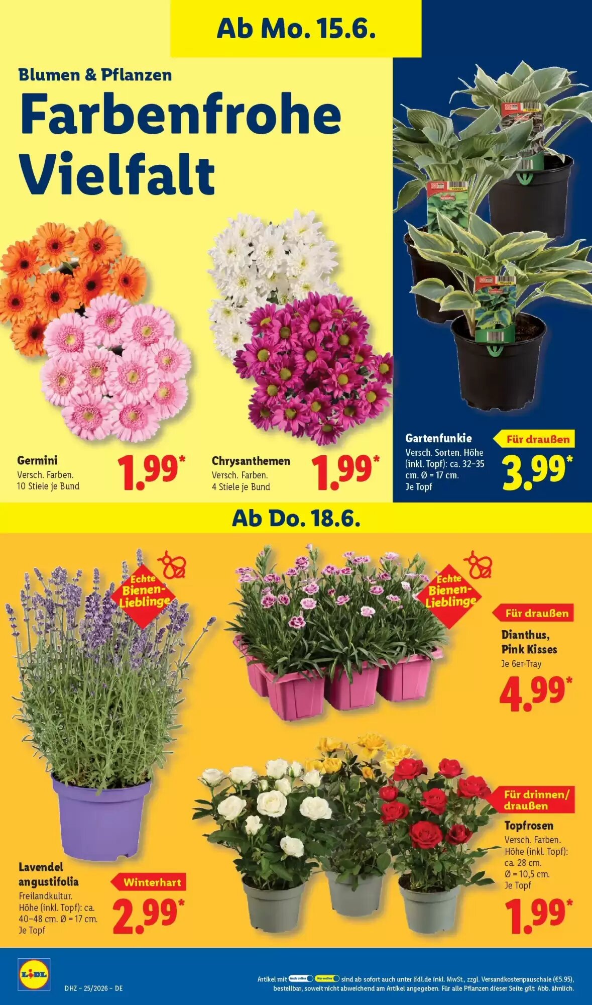 Lidl Prospekt (ab 14.06.2026) zum Blättern - Seite 74