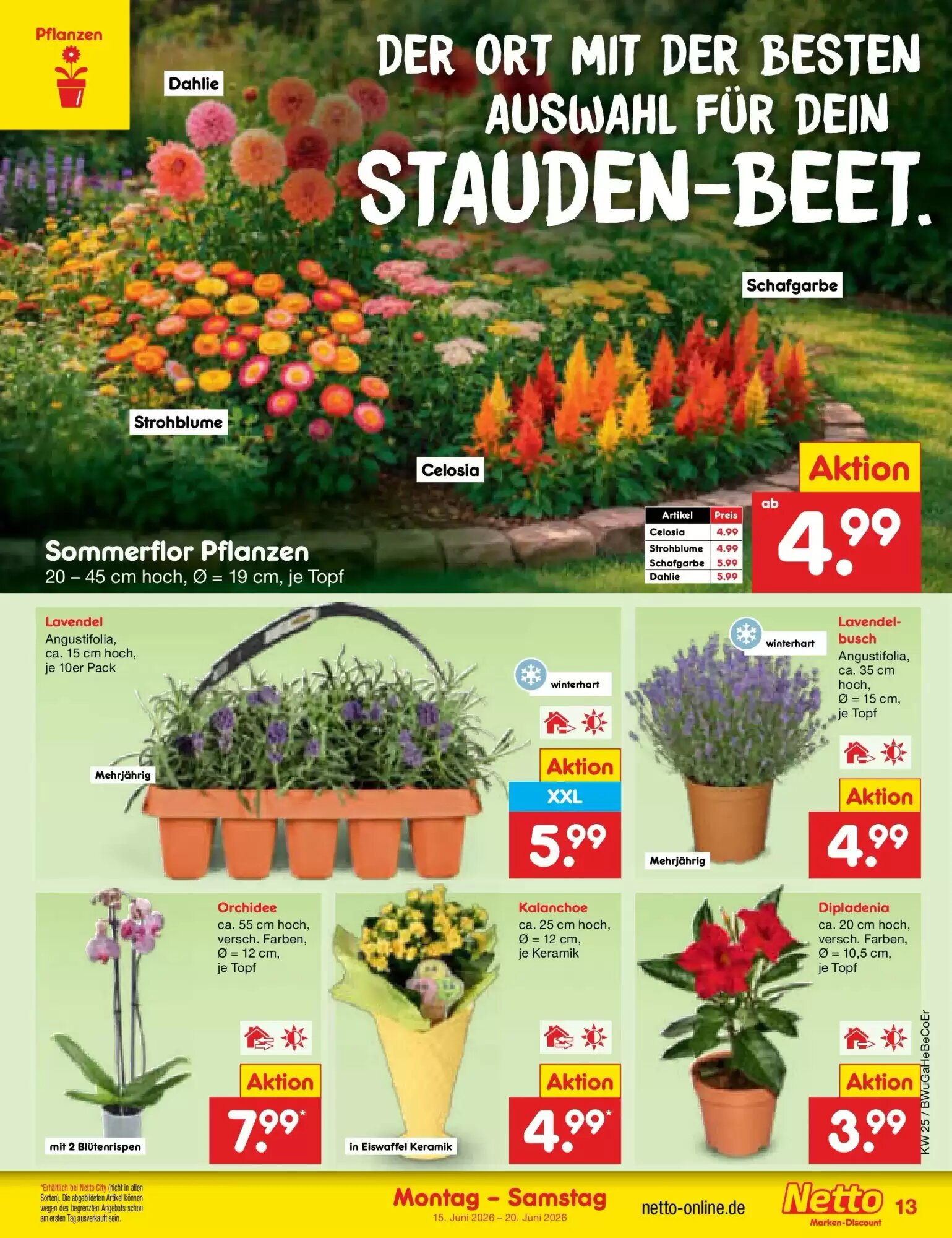 Netto Marken-Discount Prospekt (ab 14.06.2026) zum Blättern - Seite 17