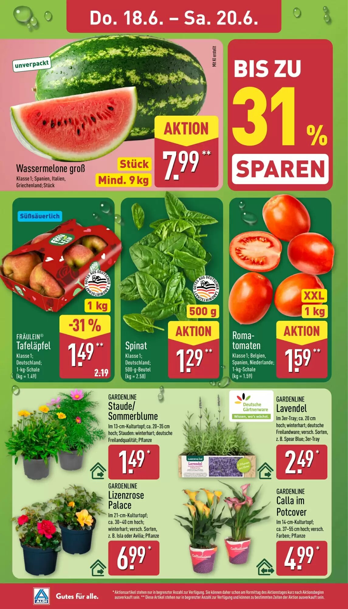 Aldi Nord Prospekt (ab 15.06.2026) zum Blättern - Seite 30