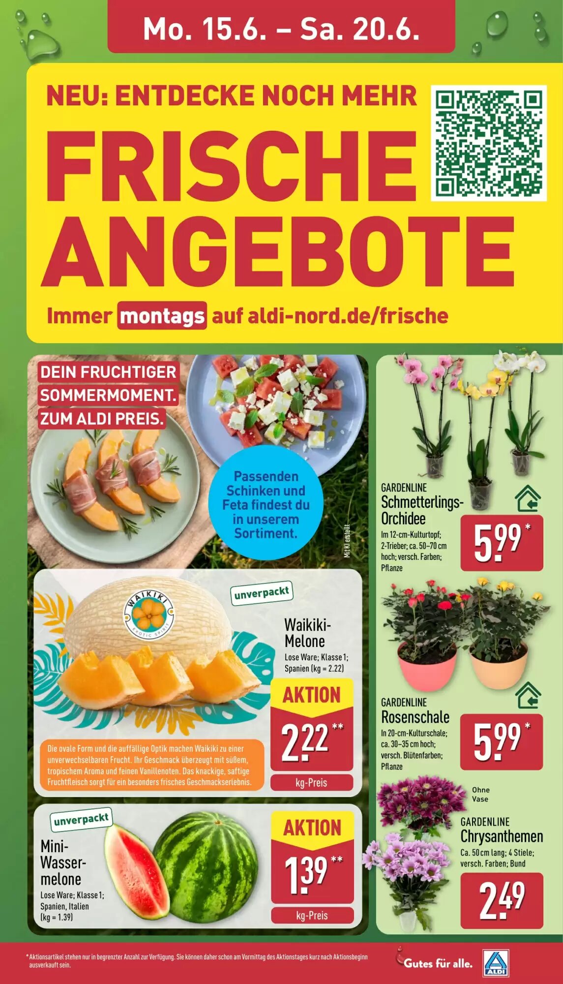 Aldi Nord Prospekt (ab 15.06.2026) zum Blättern - Seite 7