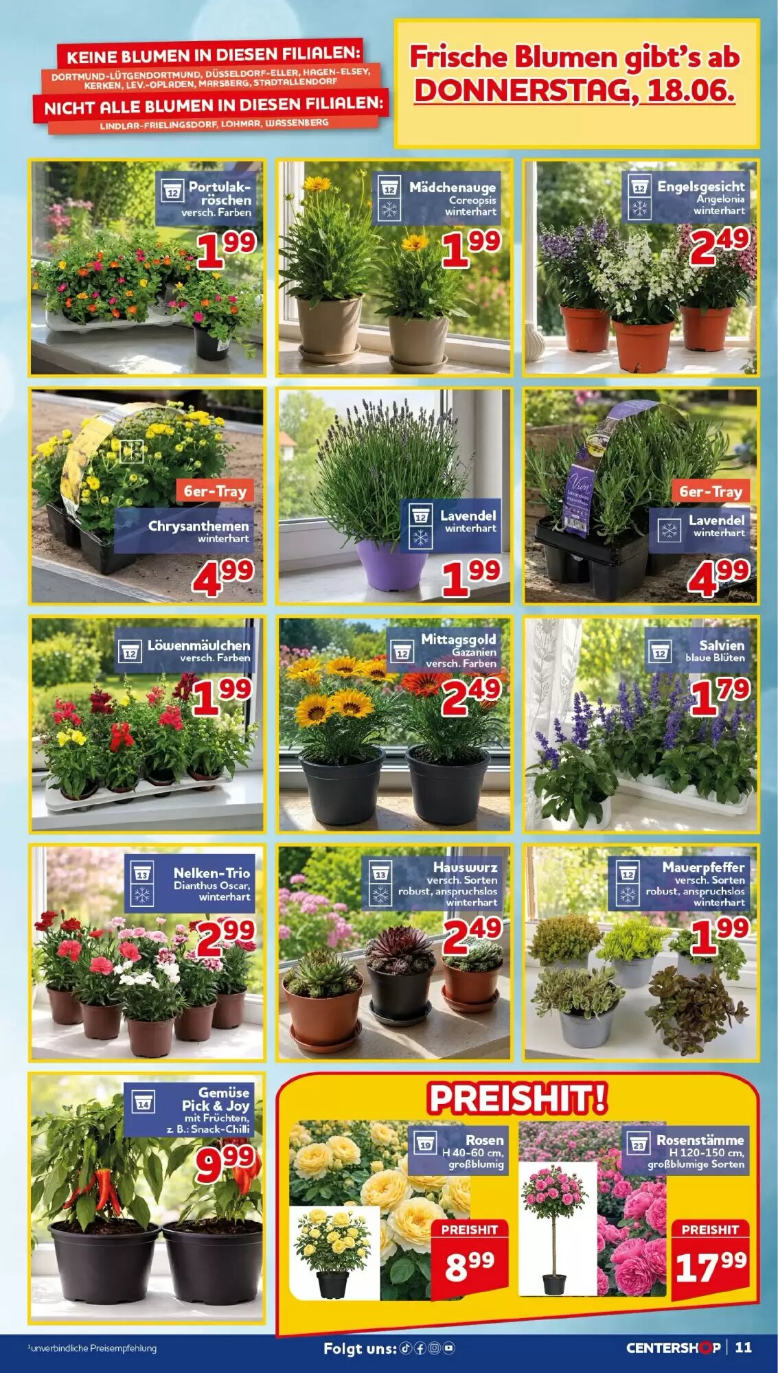 CENTERSHOP Prospekt (ab 15.06.2026) zum Blättern - Seite 11