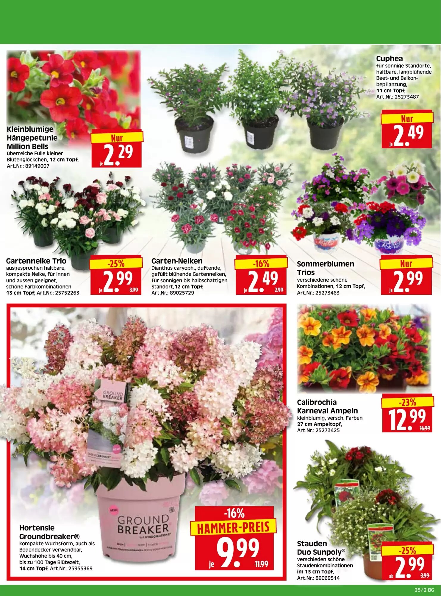 Herkules Baumarkt Prospekt (ab 15.06.2026) zum Blättern - Seite 2