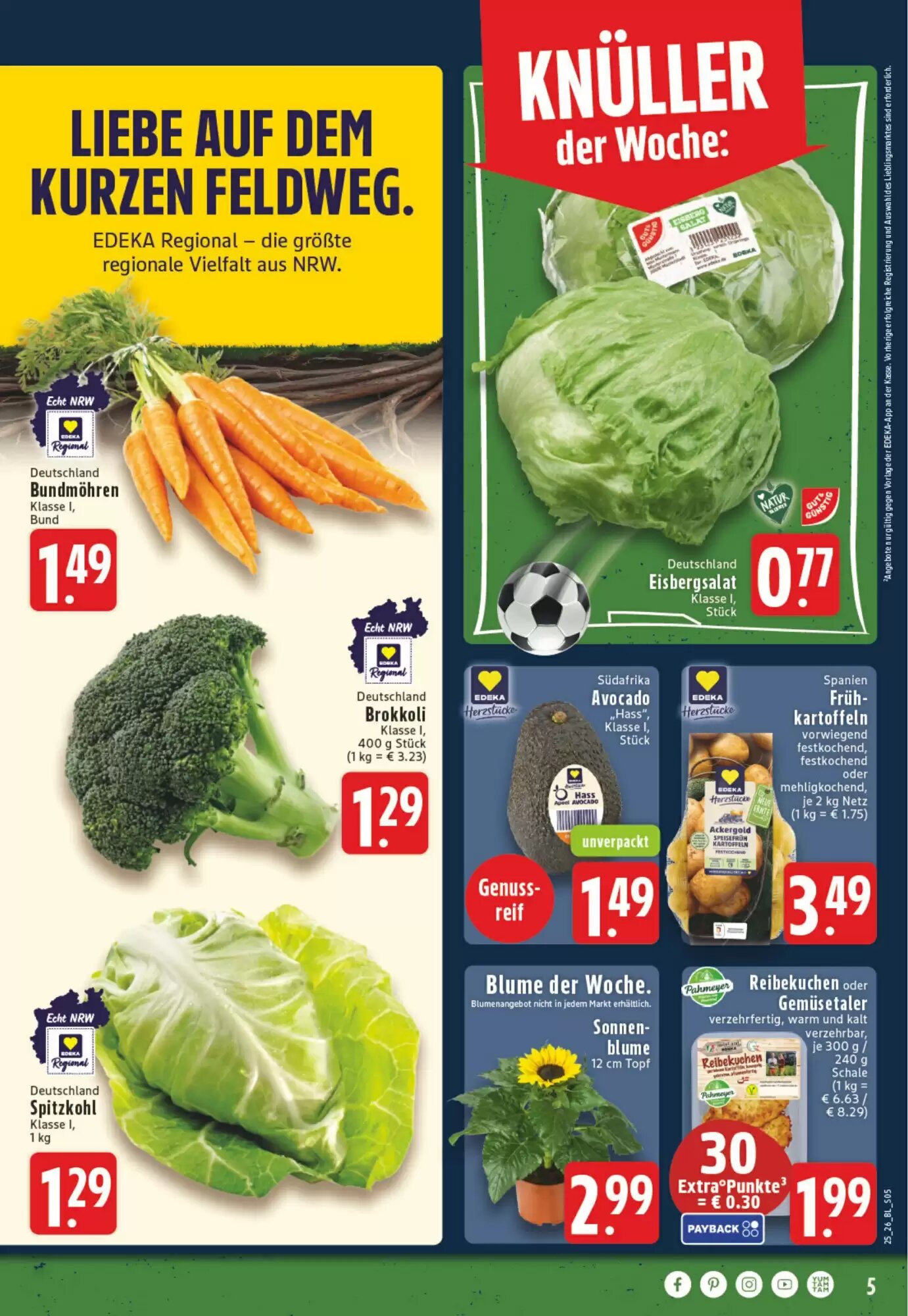EDEKA Vogl Prospekt (ab 15.06.2026) zum Blättern - Seite 5