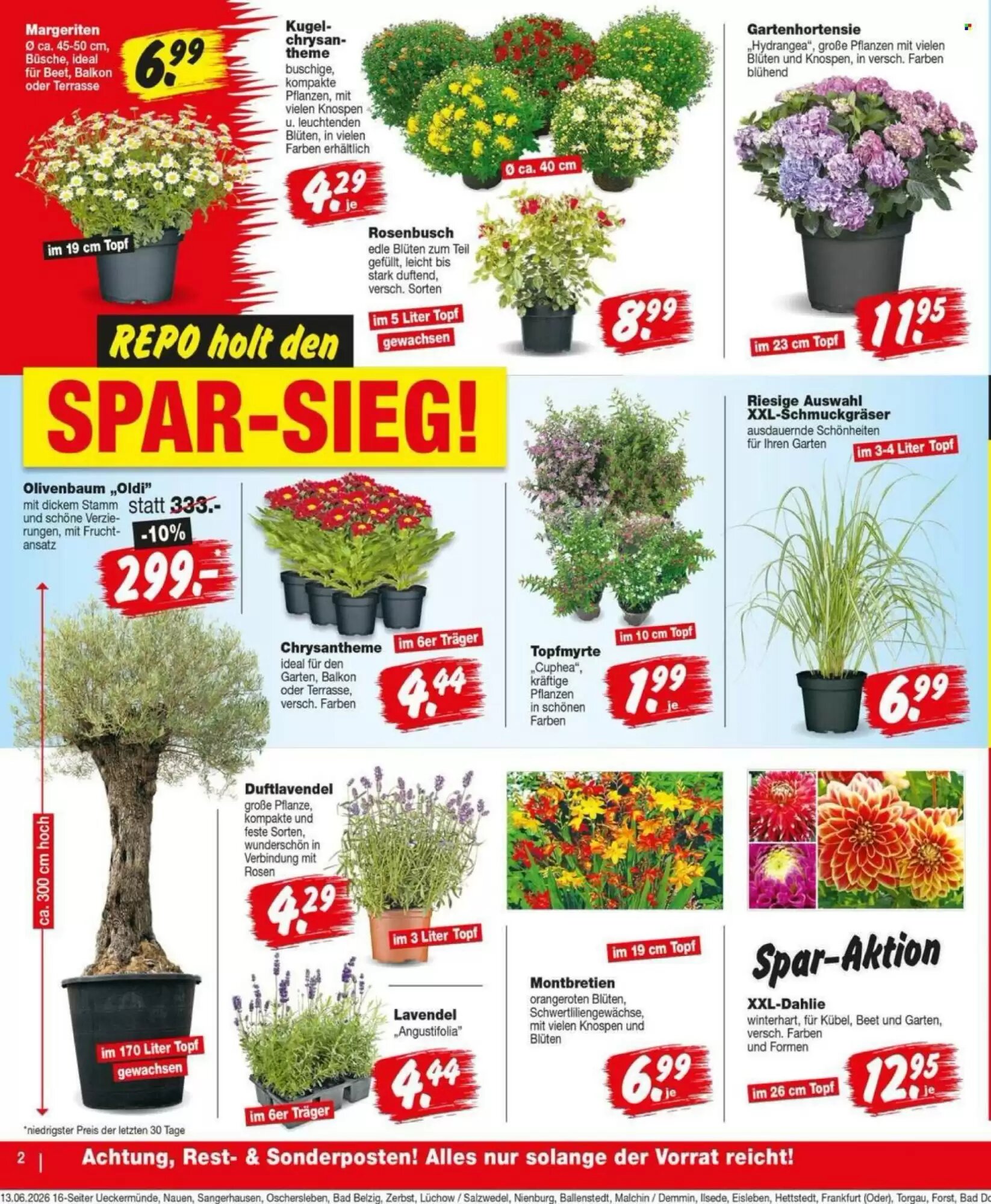 Repo Markt Prospekt (ab 15.06.2026) zum Blättern - Seite 2
