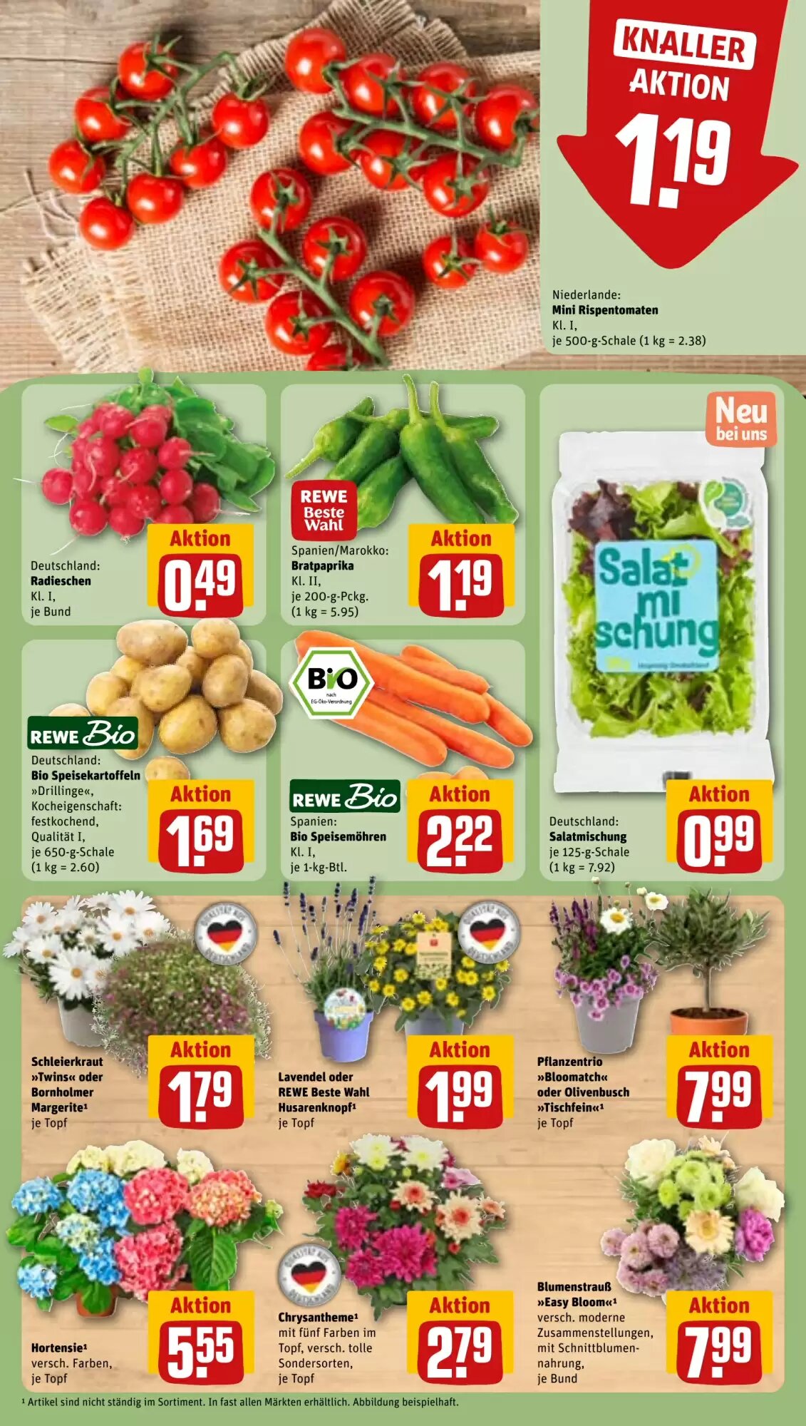 REWE Kaufpark Prospekt (ab 15.06.2026) zum Blättern - Seite 5