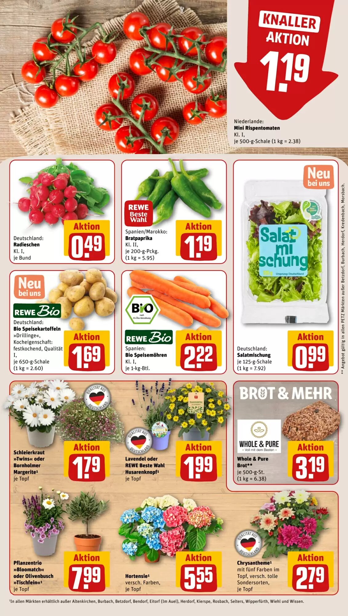 REWE PETZ Prospekt (ab 15.06.2026) zum Blättern - Seite 15