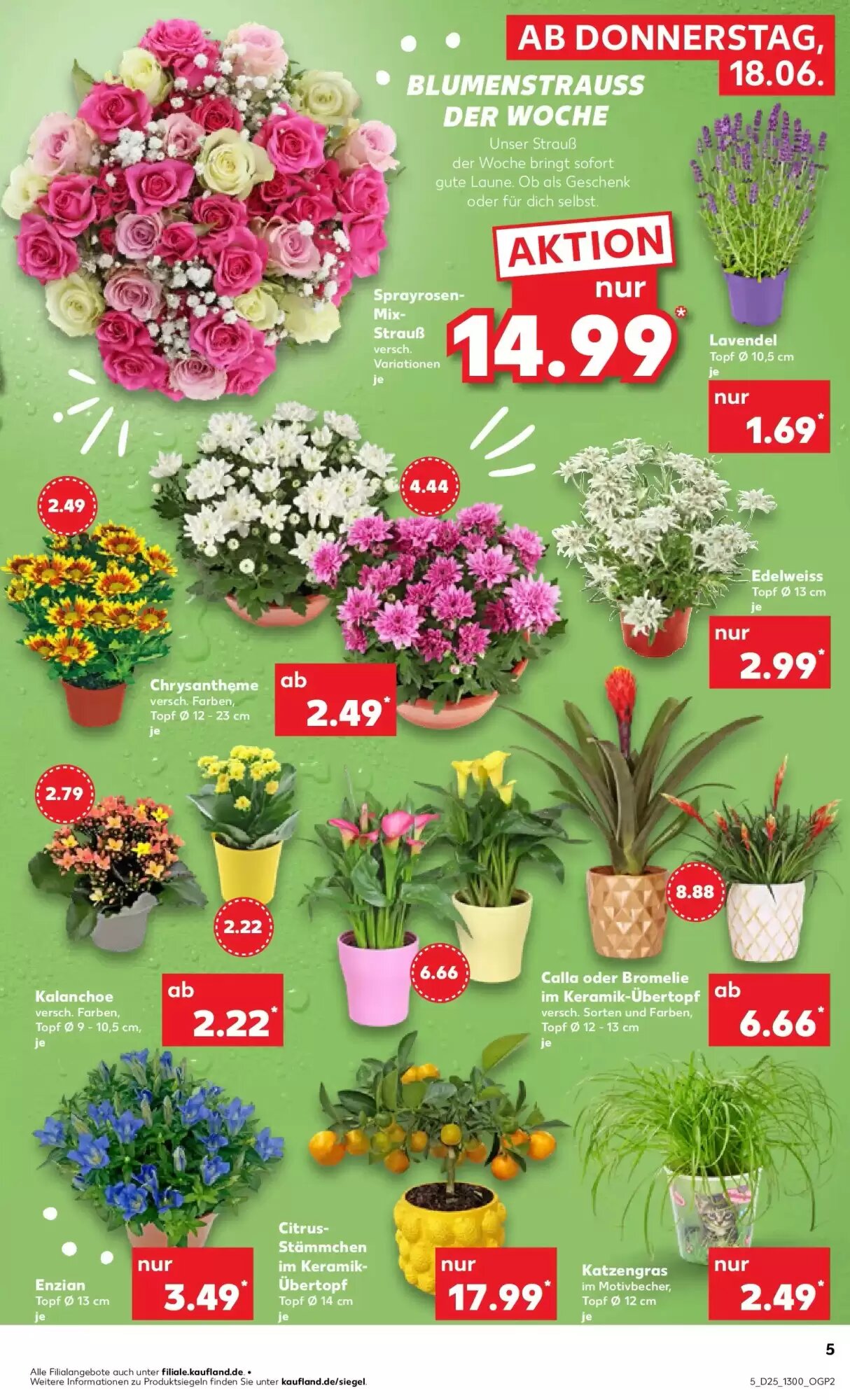 Kaufland Prospekt (ab 17.06.2026) zum Blättern - Seite 7