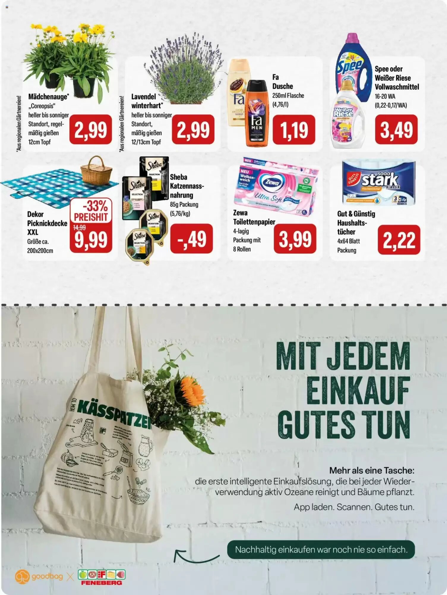 Feneberg Prospekt (ab 18.06.2026) zum Blättern - Seite 15