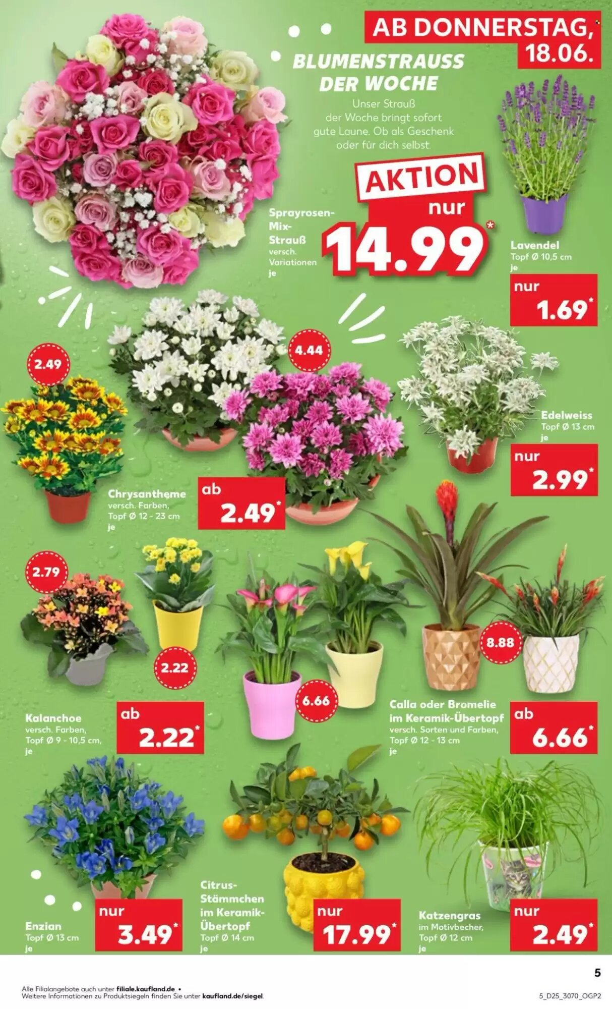 Kaufland Prospekt (ab 18.06.2026) zum Blättern - Seite 5