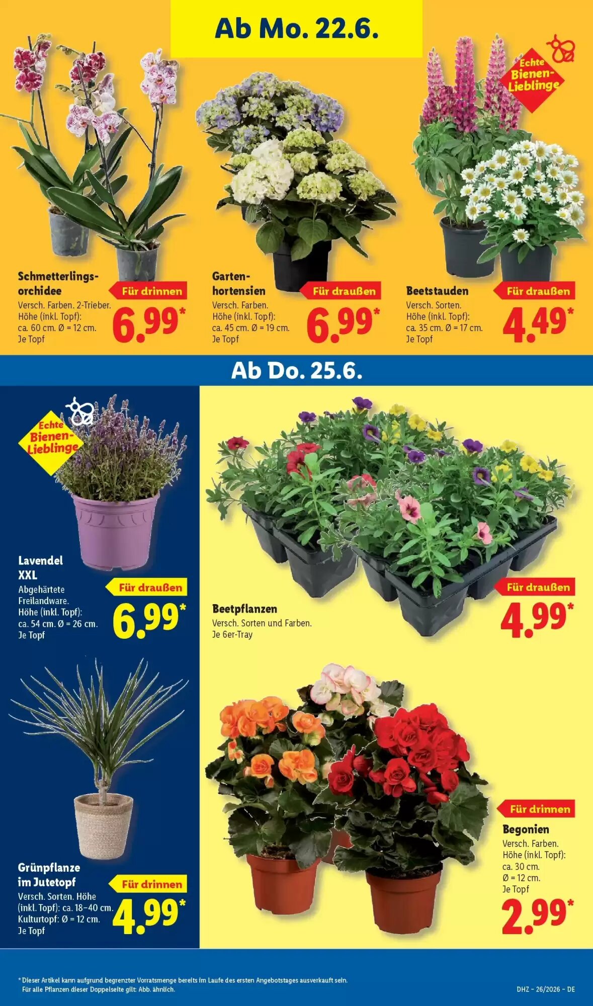 Lidl Prospekt (ab 21.06.2026) zum Blättern - Seite 73