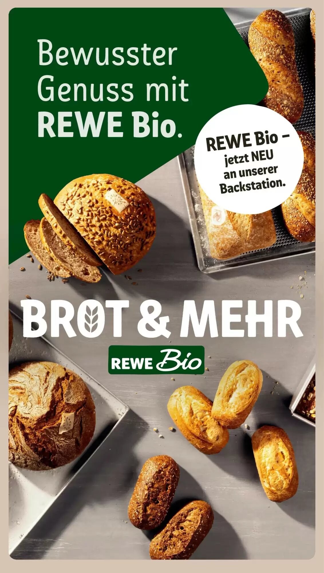REWE Prospekt (ab 21.06.2026) zum Blättern - Seite 17