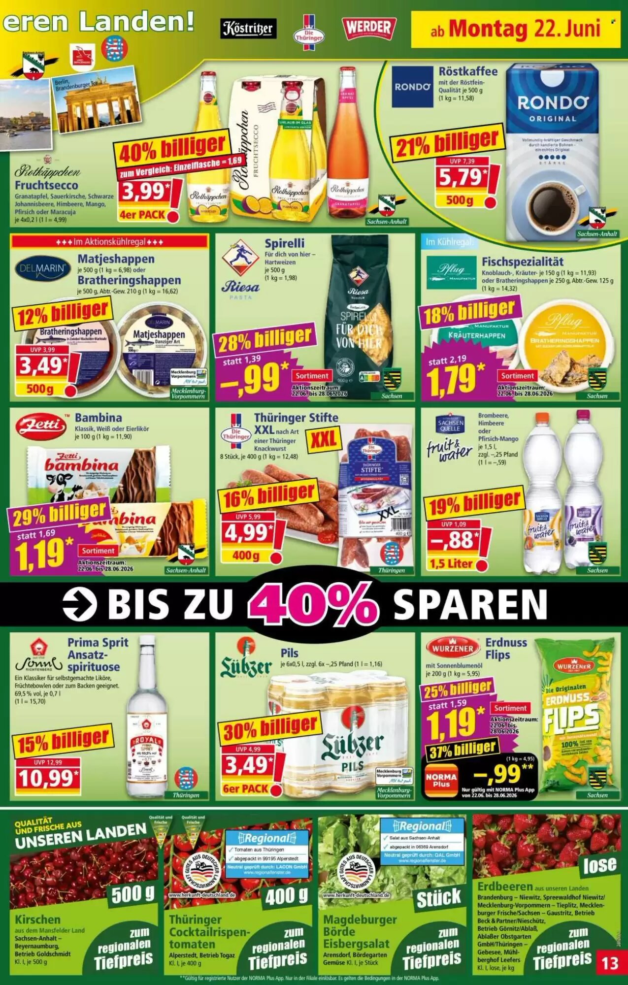 Norma Prospekt (ab 22.06.2026) zum Blättern - Seite 13