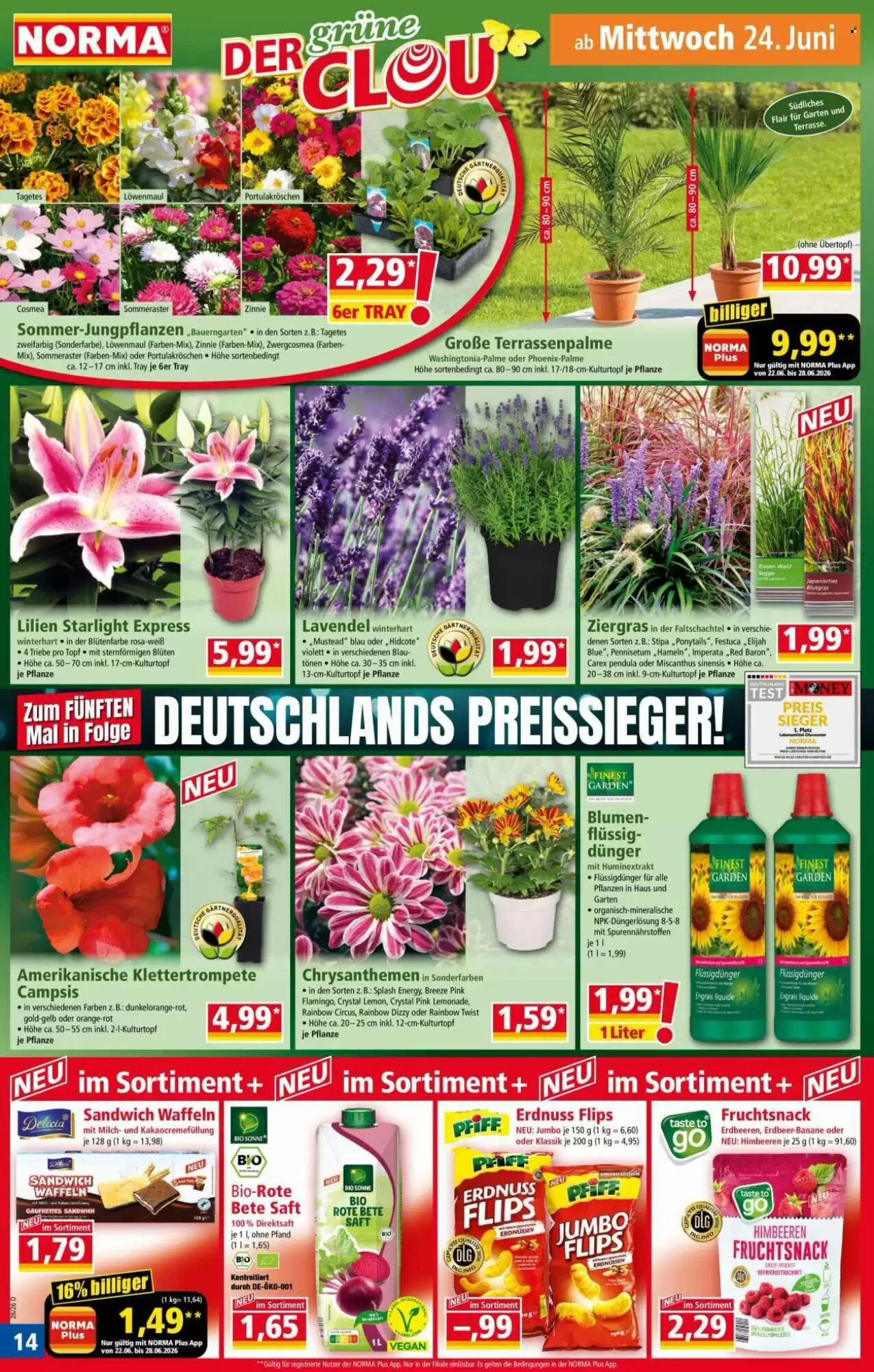 Norma Prospekt (ab 22.06.2026) zum Blättern - Seite 14