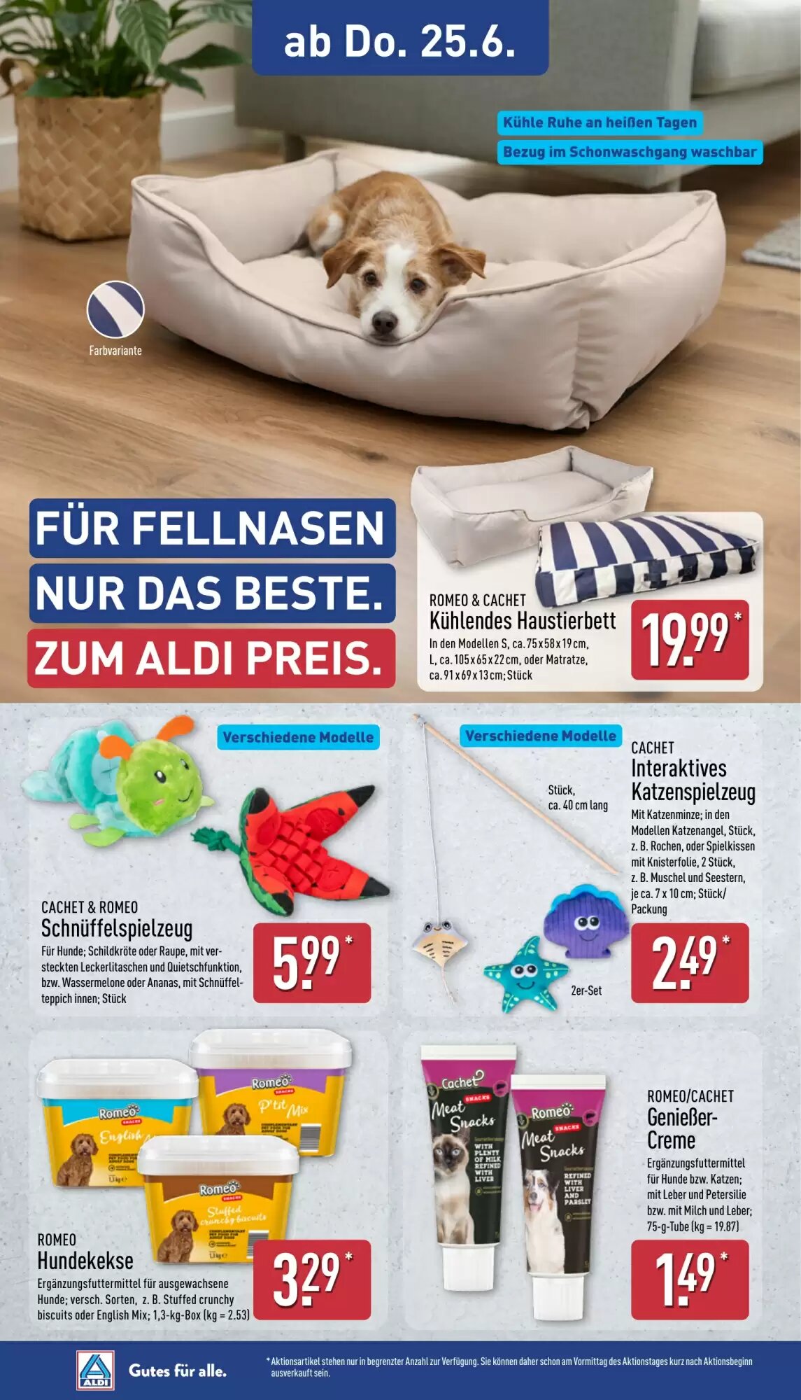 Aldi Nord Prospekt (ab 22.06.2026) zum Blättern - Seite 22