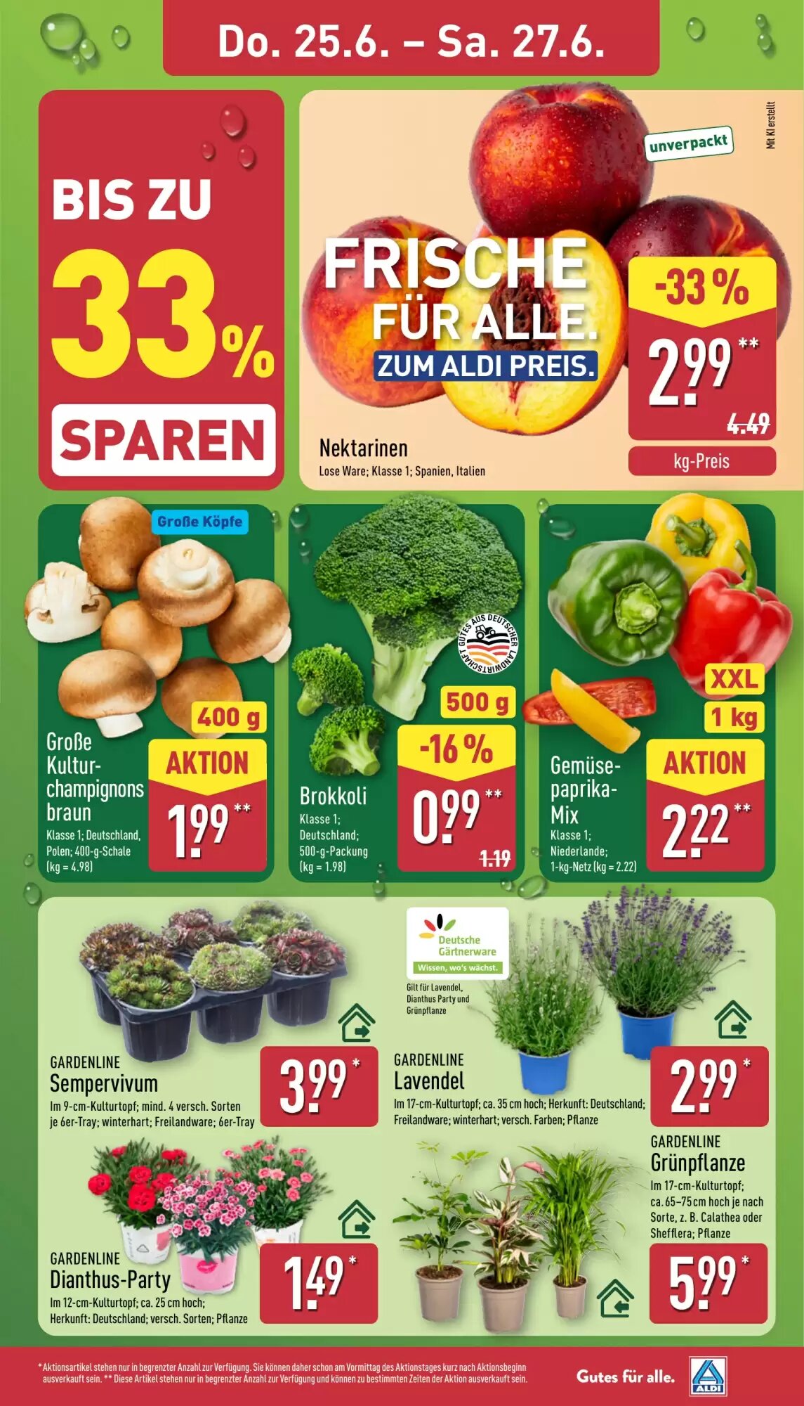 Aldi Nord Prospekt (ab 22.06.2026) zum Blättern - Seite 29