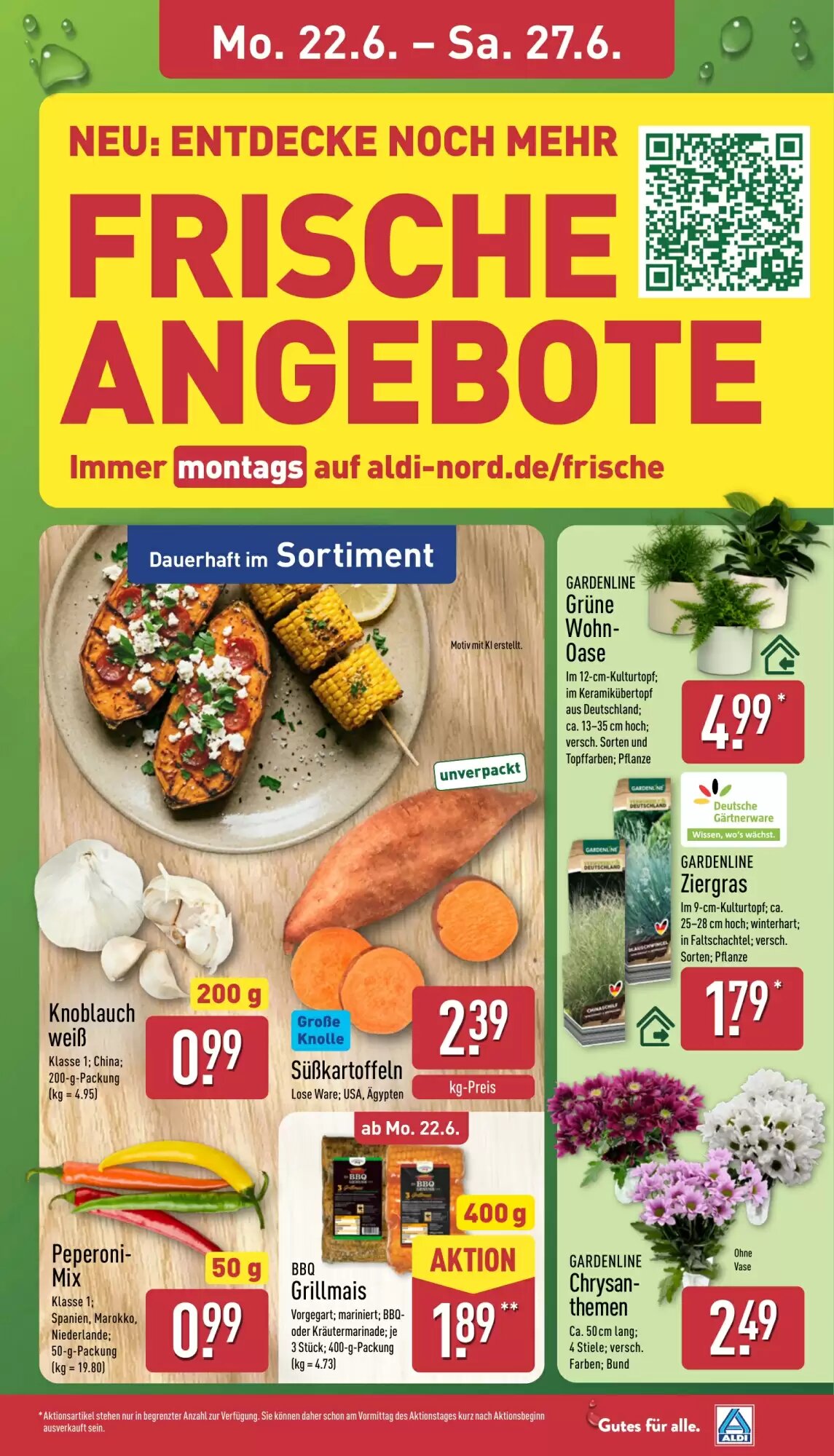 Aldi Nord Prospekt (ab 22.06.2026) zum Blättern - Seite 3