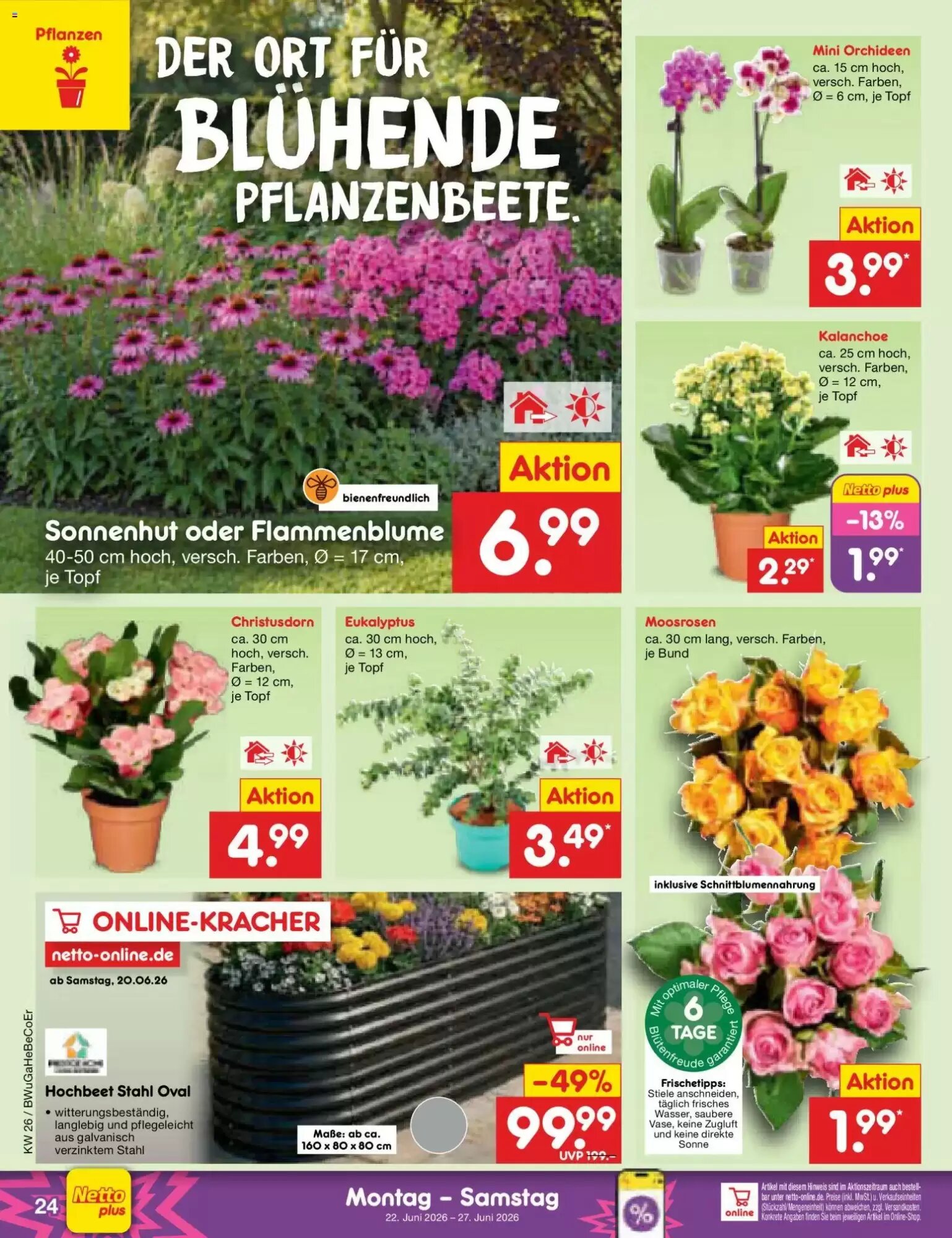 Netto Marken-Discount Prospekt (ab 22.06.2026) zum Blättern - Seite 34
