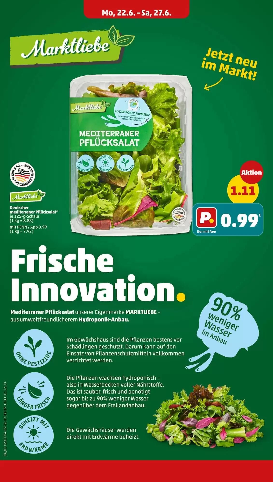 PENNY Prospekt (ab 22.06.2026) zum Blättern - Seite 4