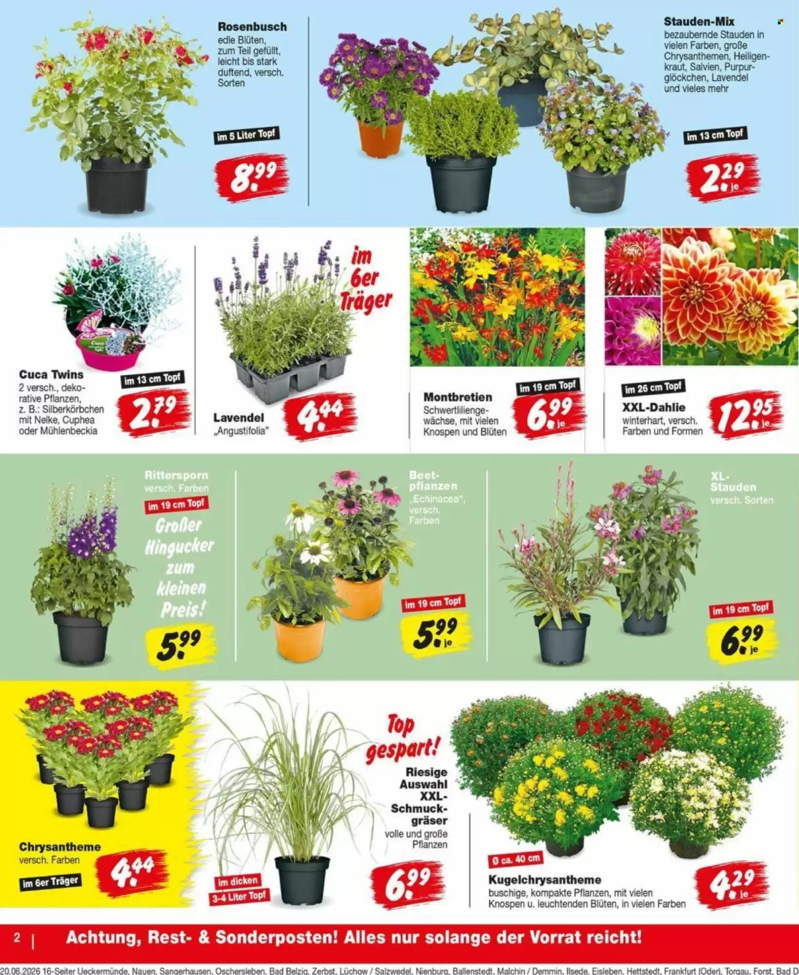 Repo Markt Prospekt (ab 22.06.2026) zum Blättern - Seite 2