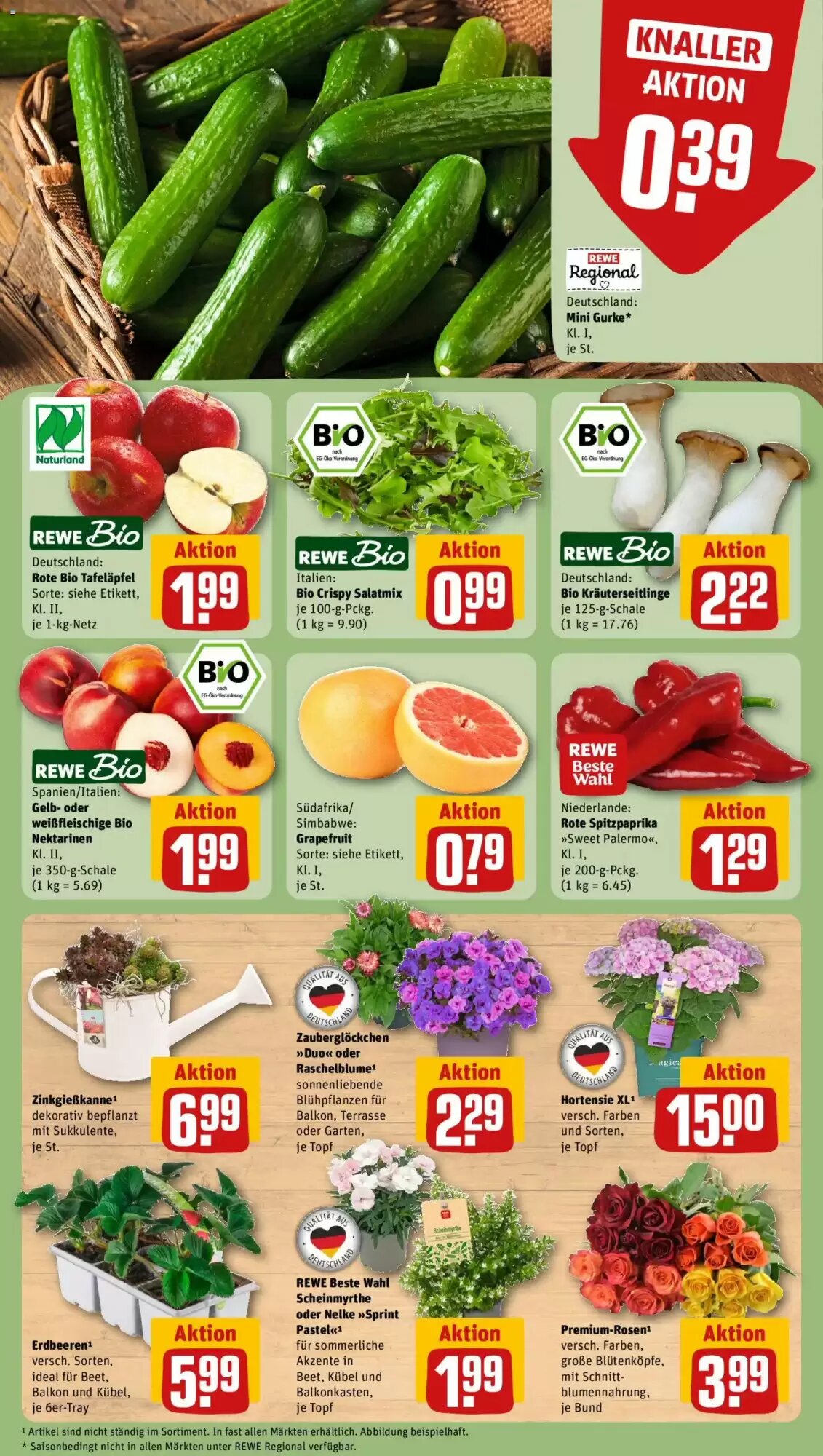 REWE Kaufpark Prospekt (ab 22.06.2026) zum Blättern - Seite 5
