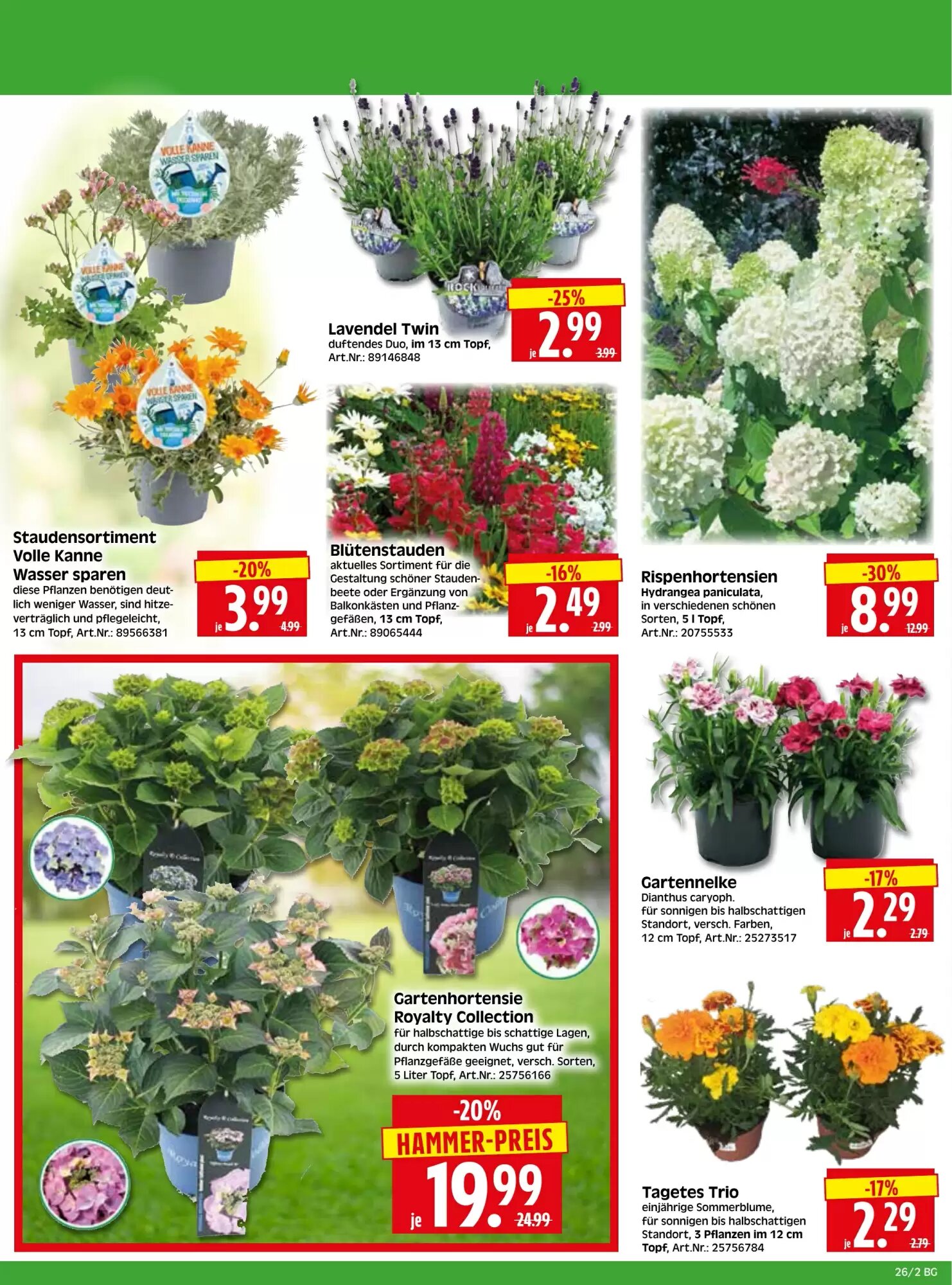 Herkules Baumarkt Prospekt (ab 22.06.2026) zum Blättern - Seite 2