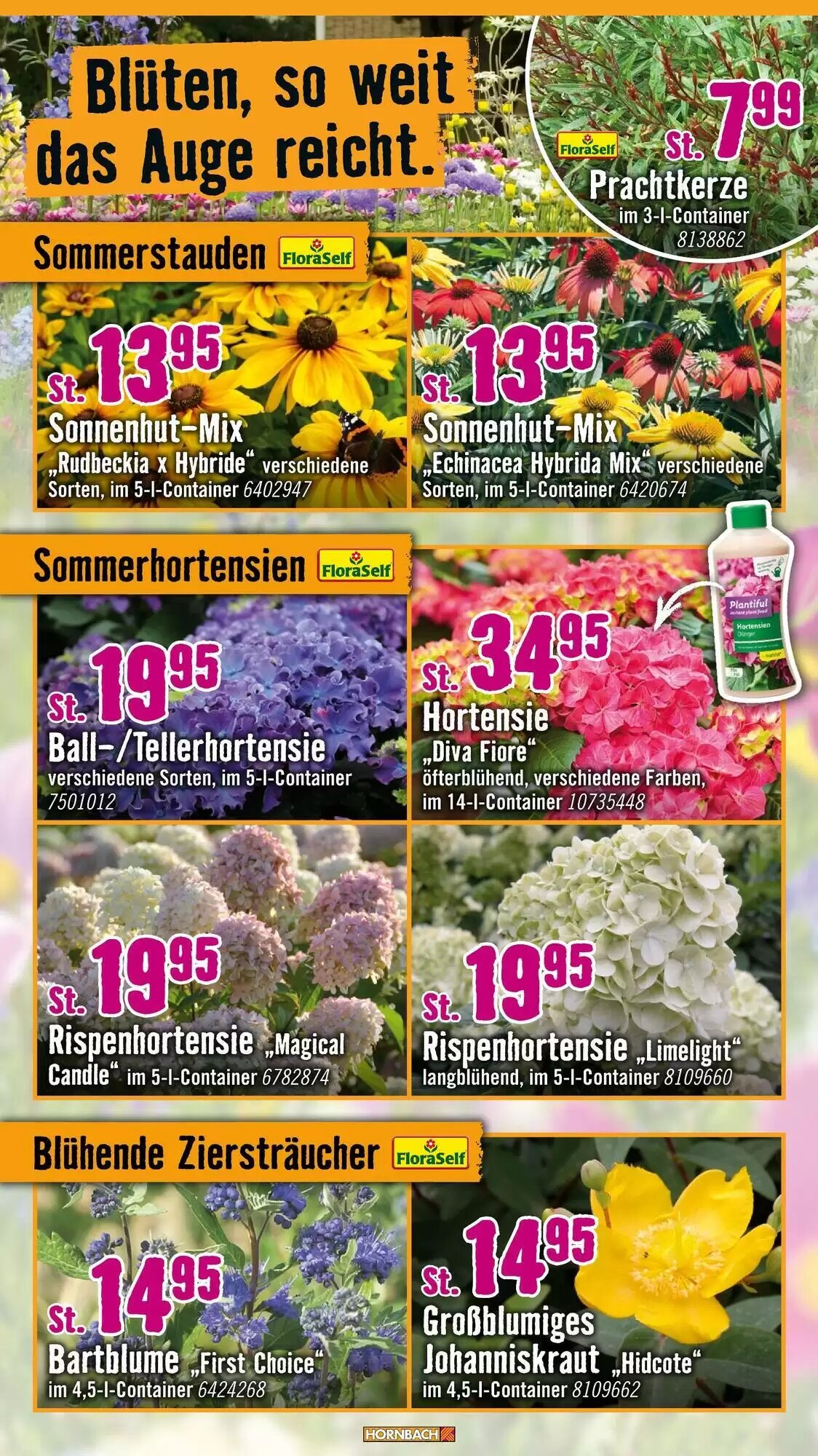 Hornbach Prospekt (ab 24.06.2026) zum Blättern - Seite 10