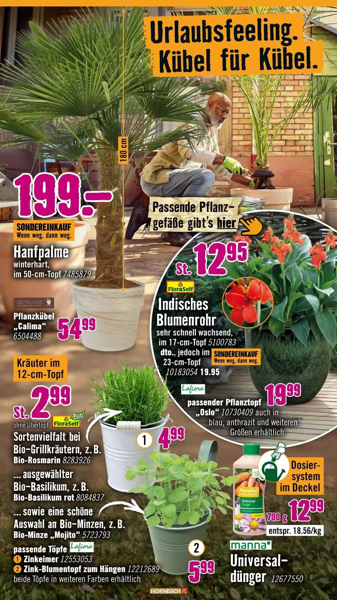 Hornbach Prospekt (ab 24.06.2026) zum Blättern - Seite 9