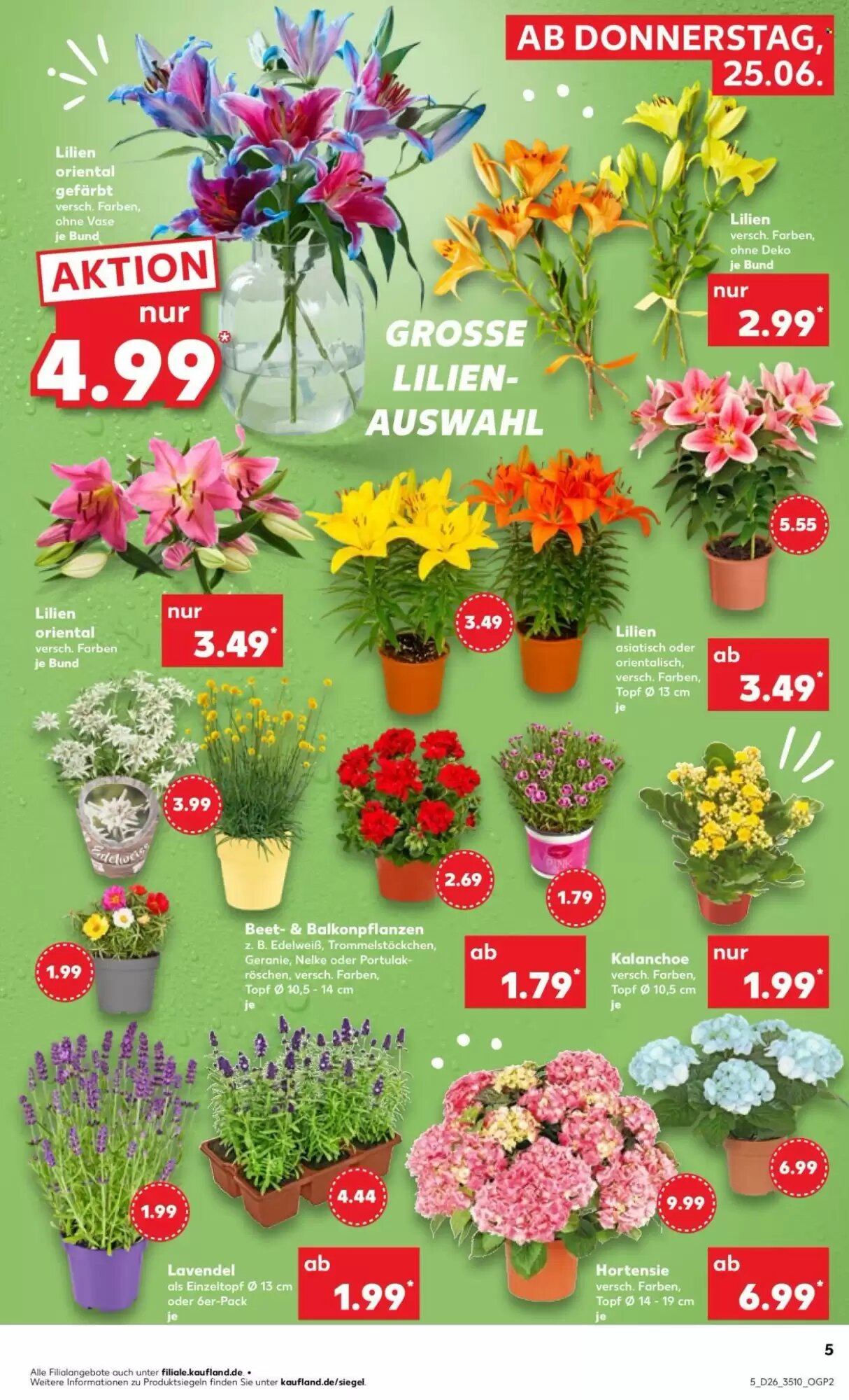 Kaufland Prospekt (ab 25.06.2026) zum Blättern - Seite 5