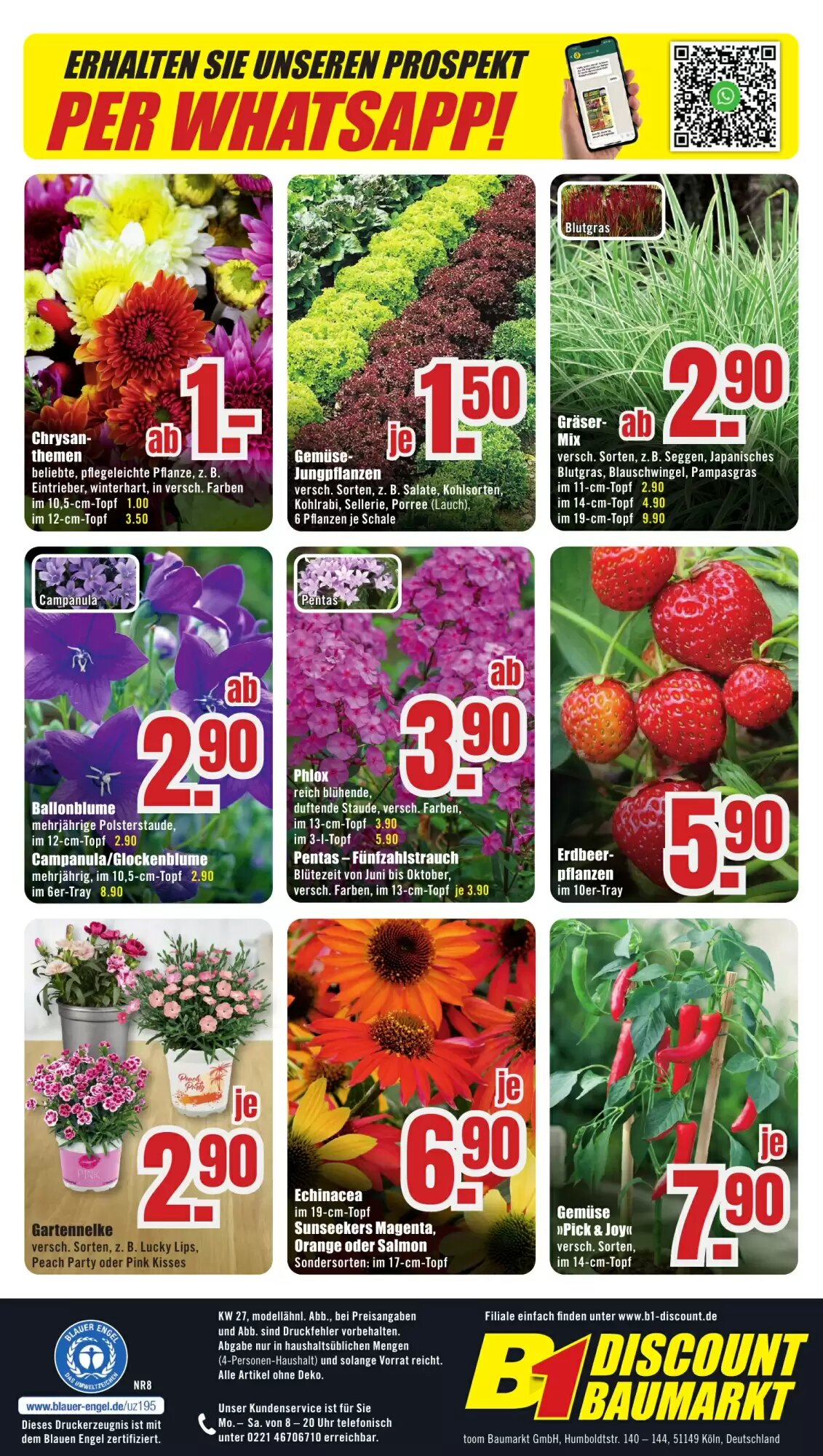 B1 Discount Baumarkt Prospekt (ab 28.06.2026) zum Blättern - Seite 8