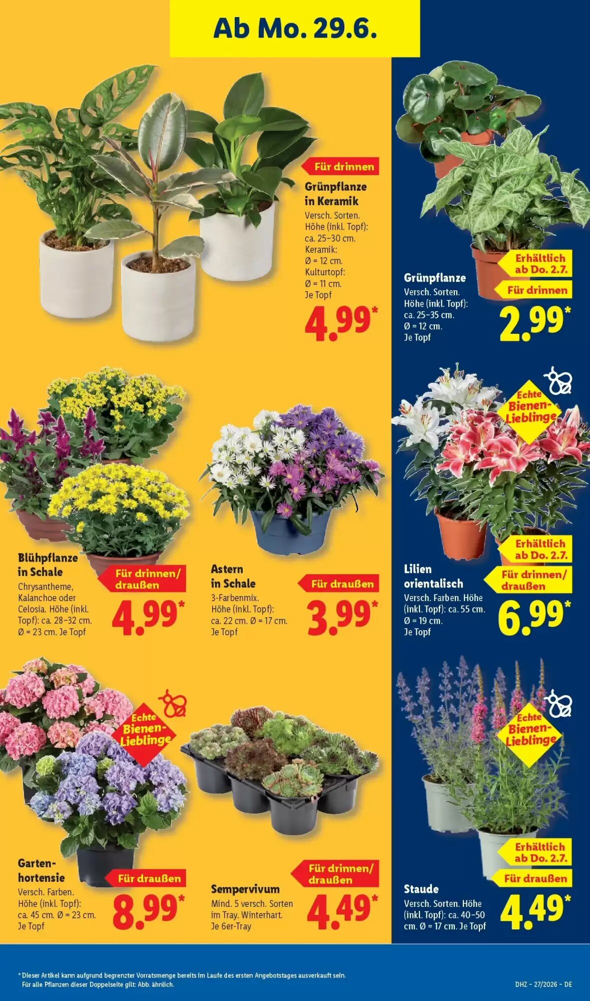 Lidl Prospekt (ab 28.06.2026) zum Blättern - Seite 35