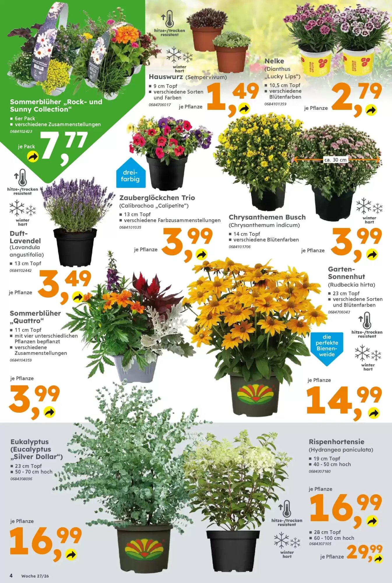 Globus Baumarkt Prospekt (ab 28.06.2026) zum Blättern - Seite 4