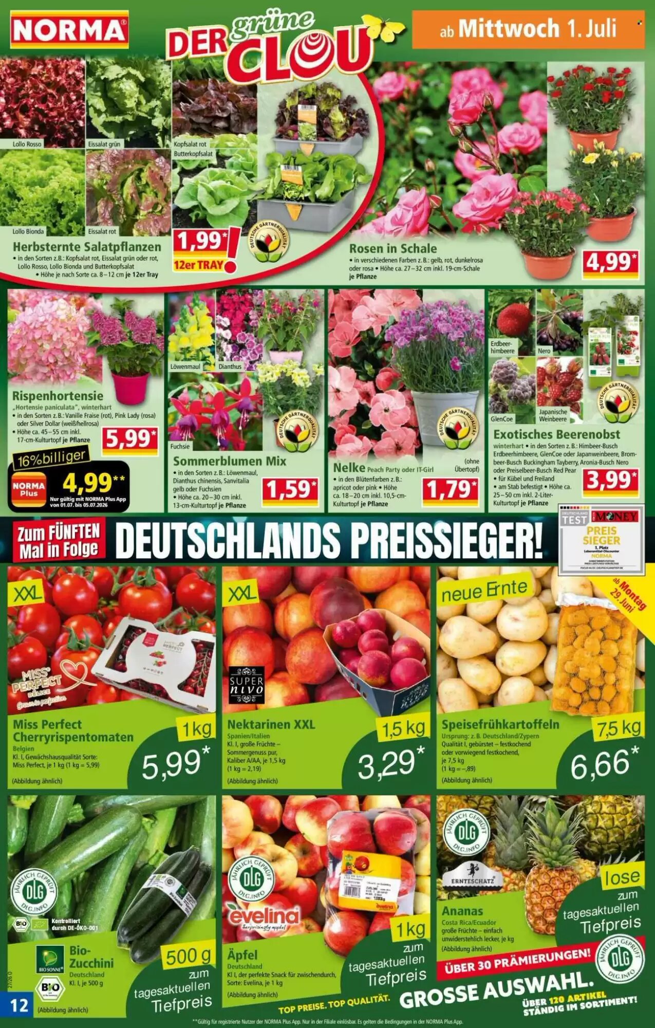 Norma Prospekt (ab 29.06.2026) zum Blättern - Seite 12
