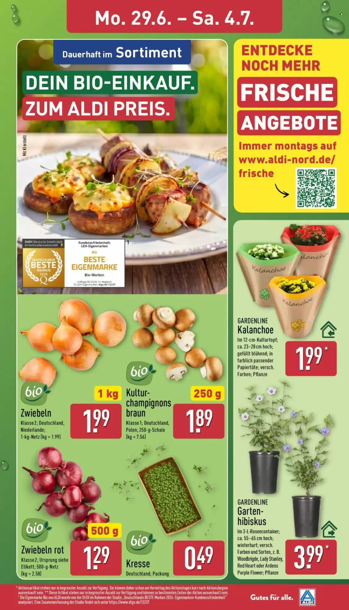 Aldi Nord Prospekt (ab 29.06.2026) zum Blättern - Seite 3